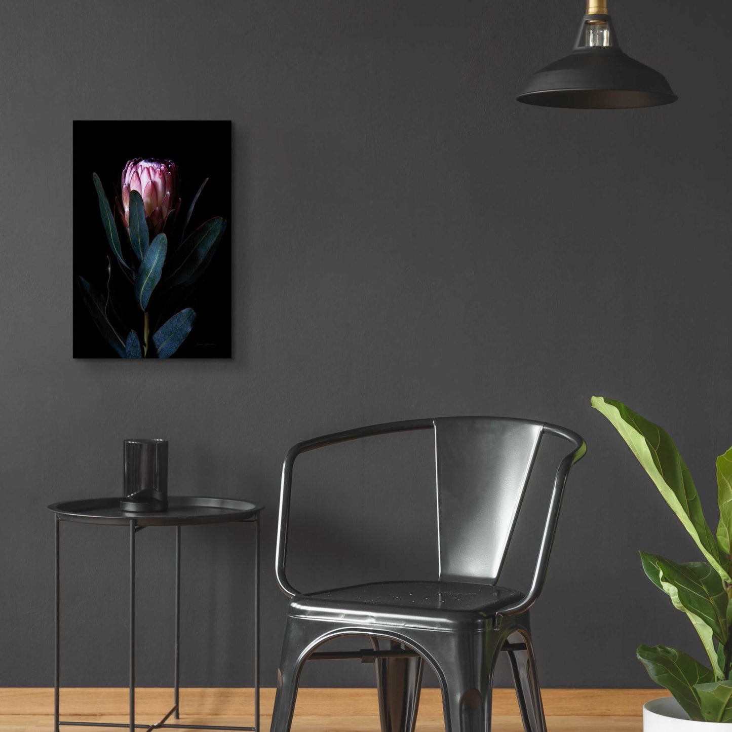 Epic Art 'Protea Portrait' by Elise Catterall, Acrylic Glass Wall Art,16x24