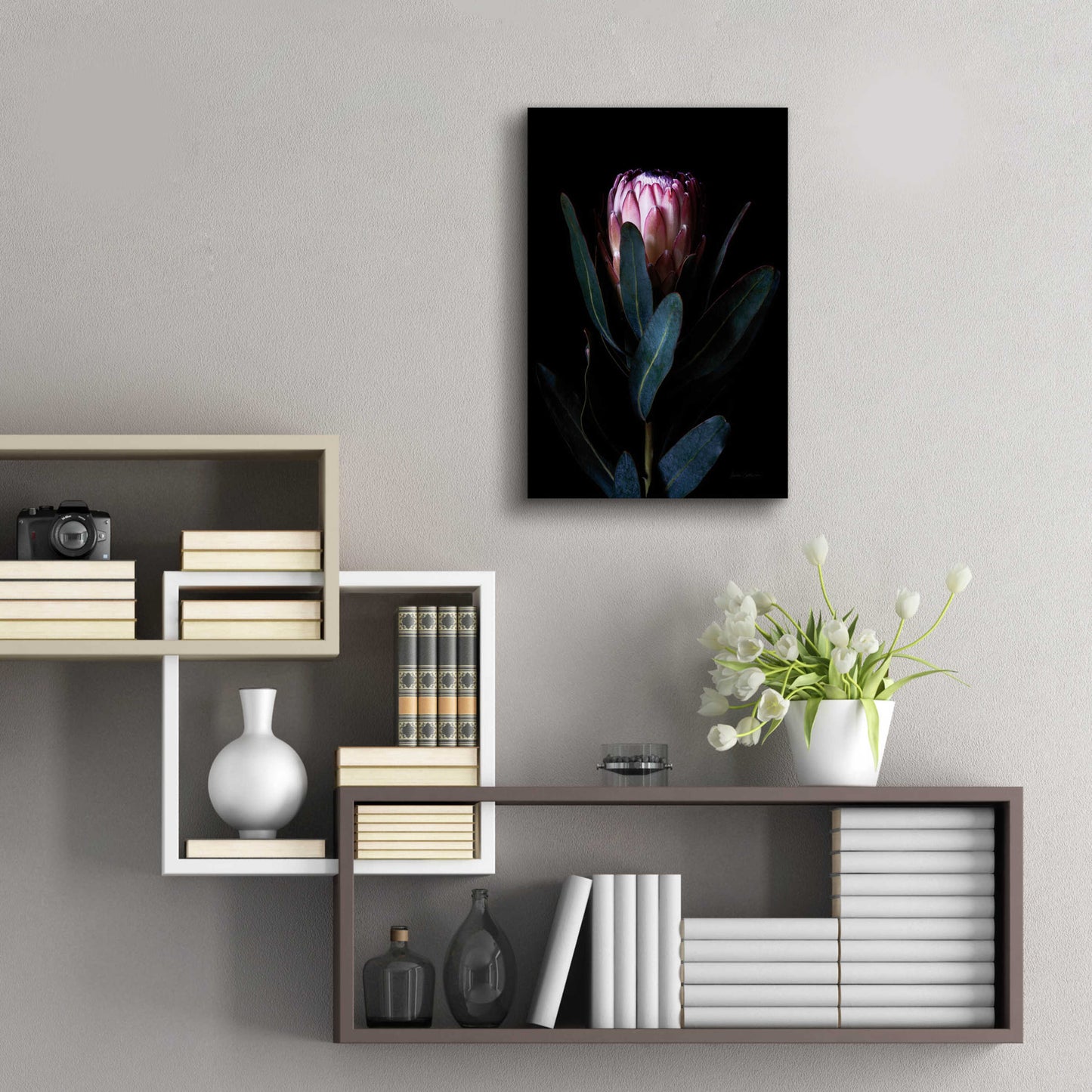 Epic Art 'Protea Portrait' by Elise Catterall, Acrylic Glass Wall Art,16x24