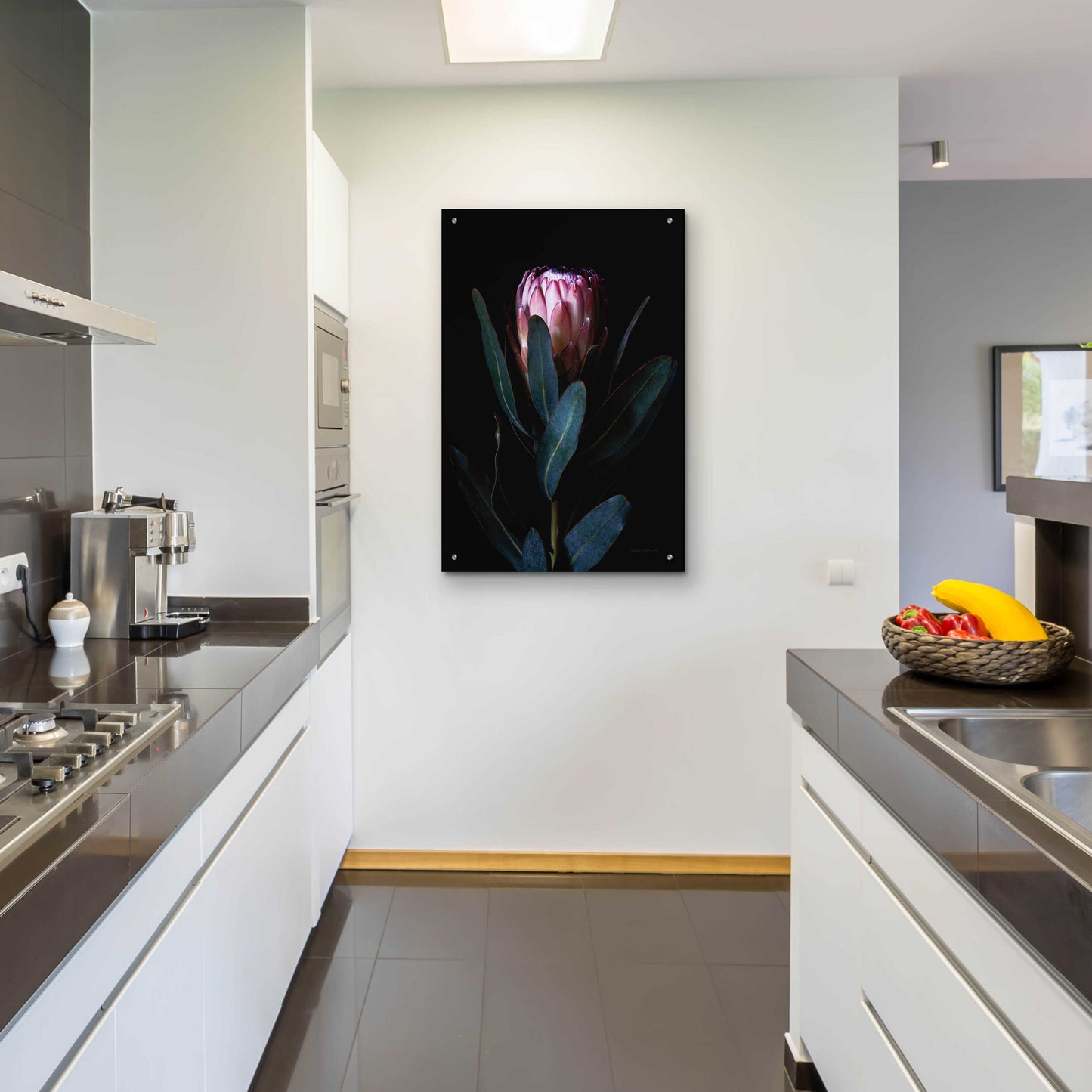 Epic Art 'Protea Portrait' by Elise Catterall, Acrylic Glass Wall Art,24x36