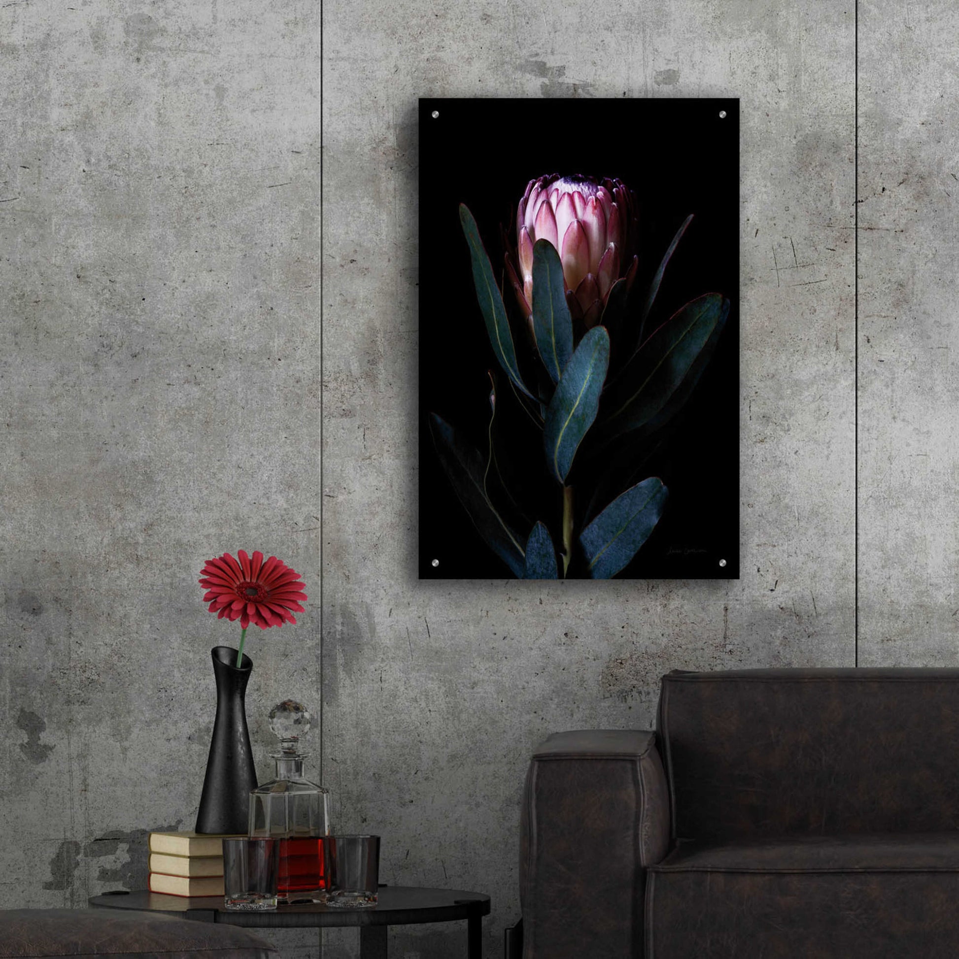 Epic Art 'Protea Portrait' by Elise Catterall, Acrylic Glass Wall Art,24x36