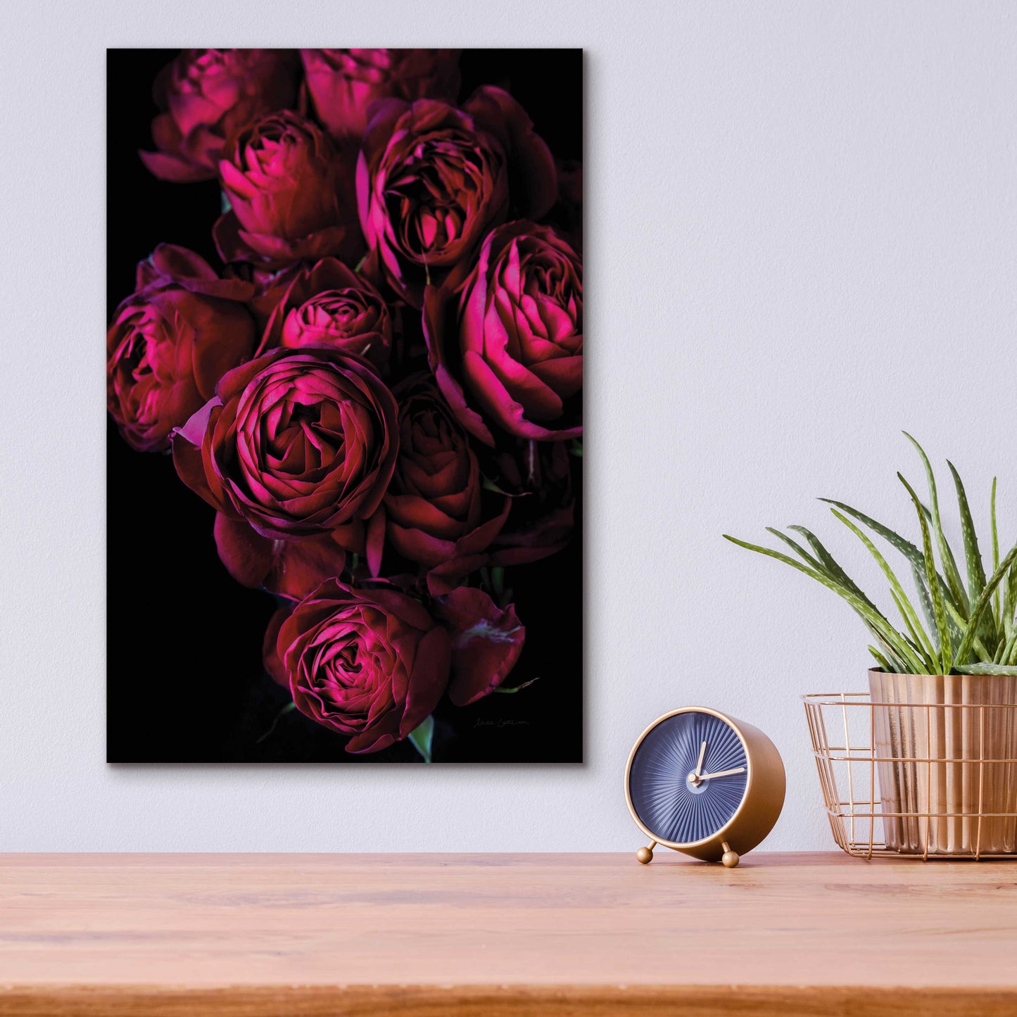 Epic Art 'Cabbage Roses' by Elise Catterall, Acrylic Glass Wall Art,12x16