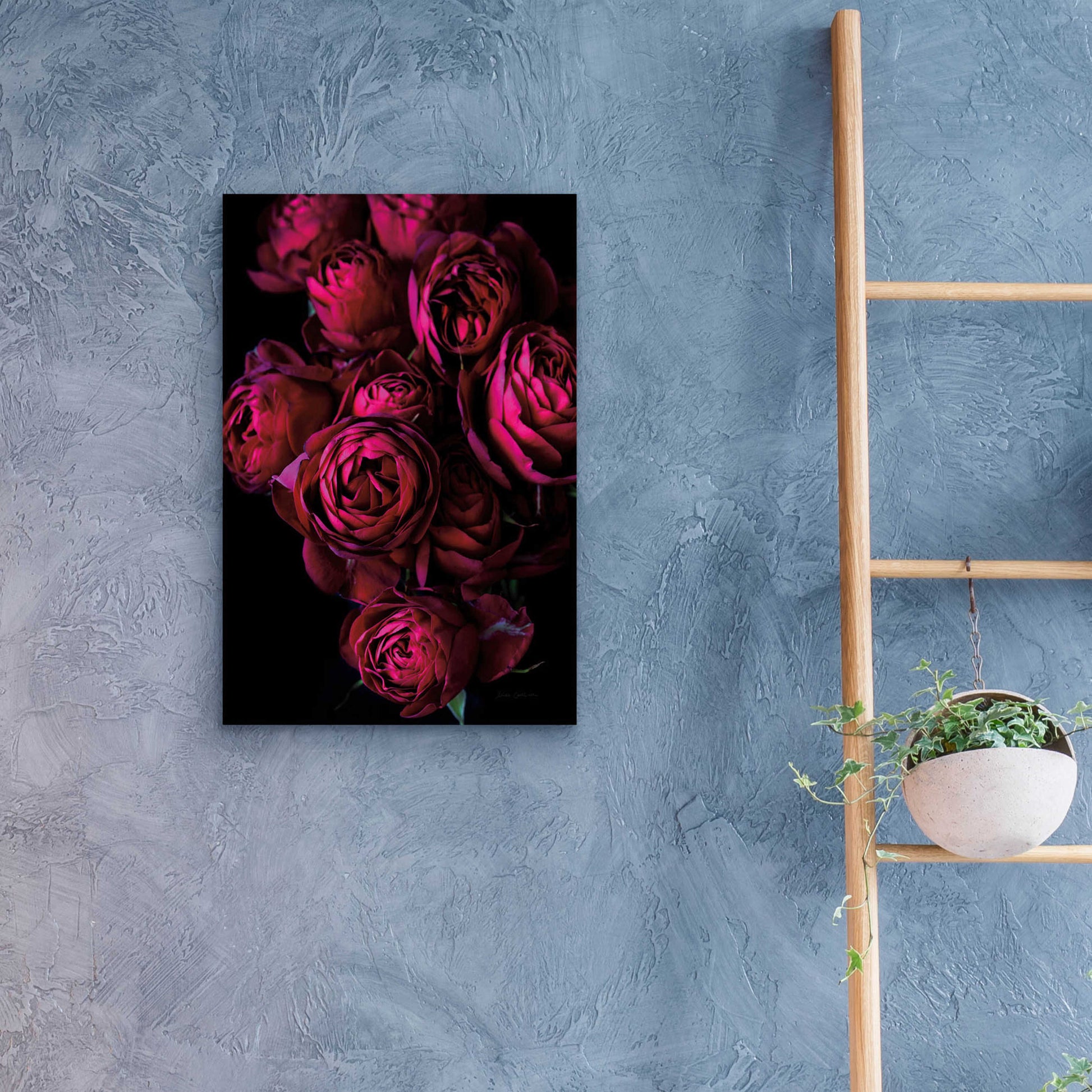 Epic Art 'Cabbage Roses' by Elise Catterall, Acrylic Glass Wall Art,16x24