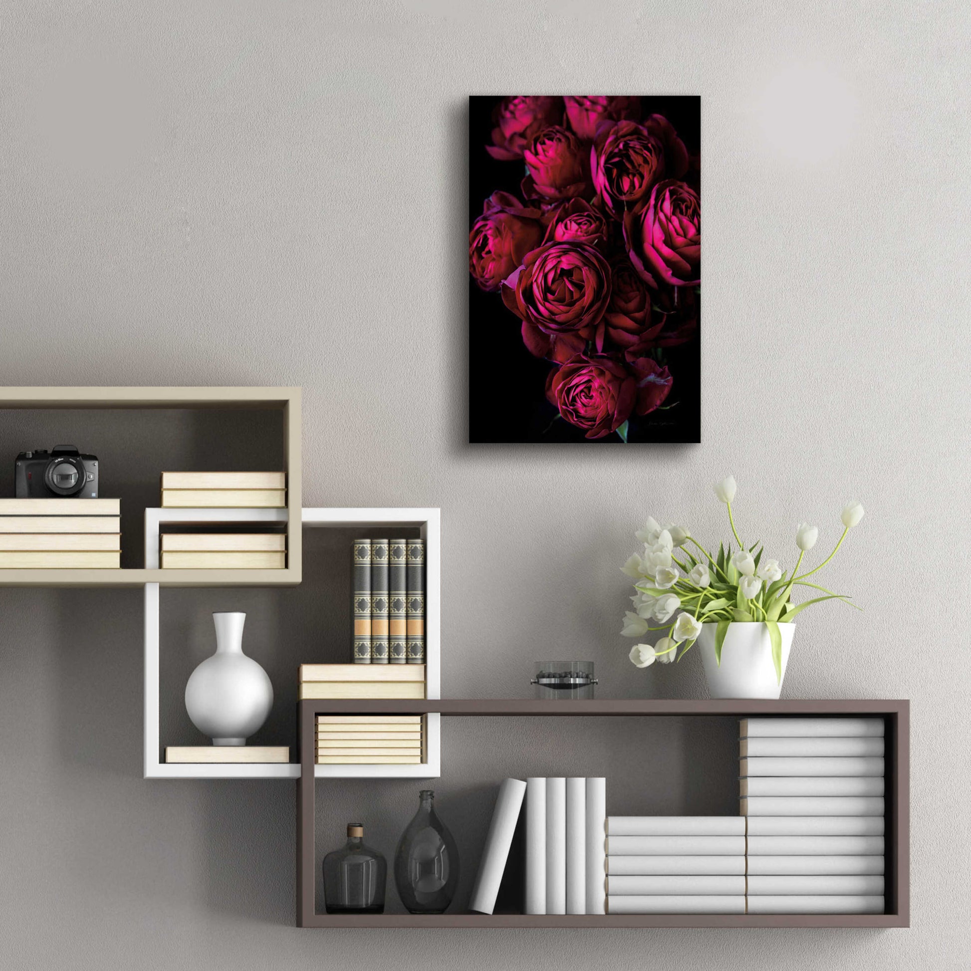 Epic Art 'Cabbage Roses' by Elise Catterall, Acrylic Glass Wall Art,16x24