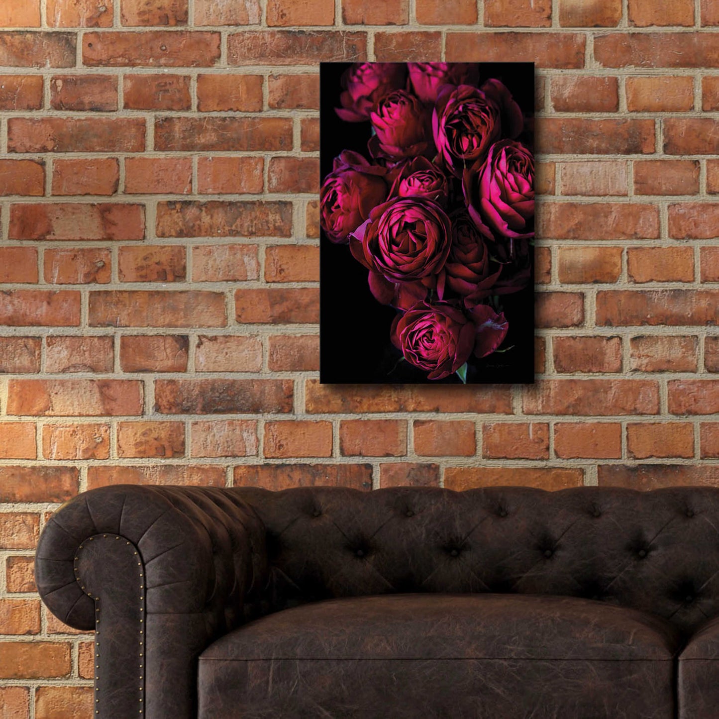 Epic Art 'Cabbage Roses' by Elise Catterall, Acrylic Glass Wall Art,16x24