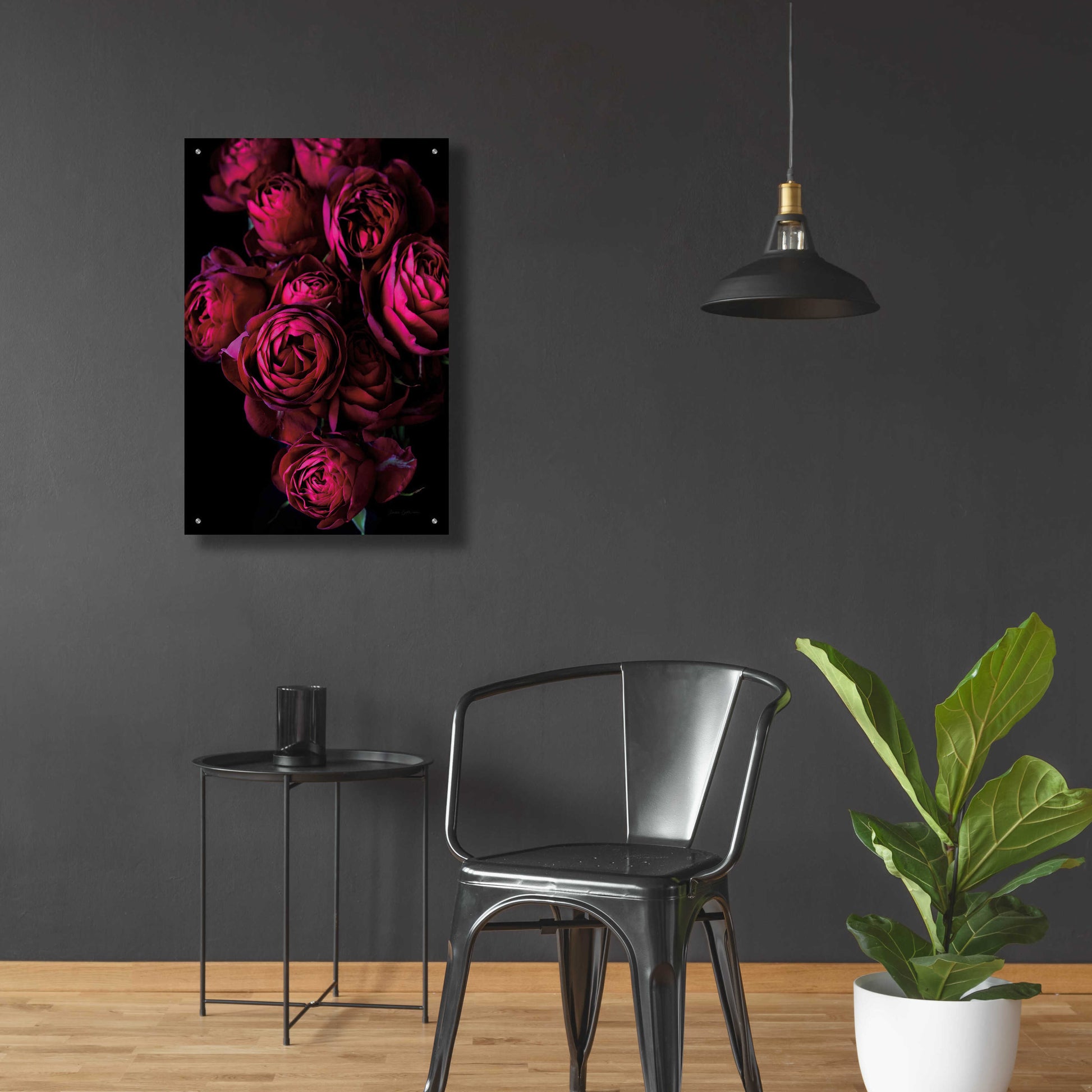 Epic Art 'Cabbage Roses' by Elise Catterall, Acrylic Glass Wall Art,24x36