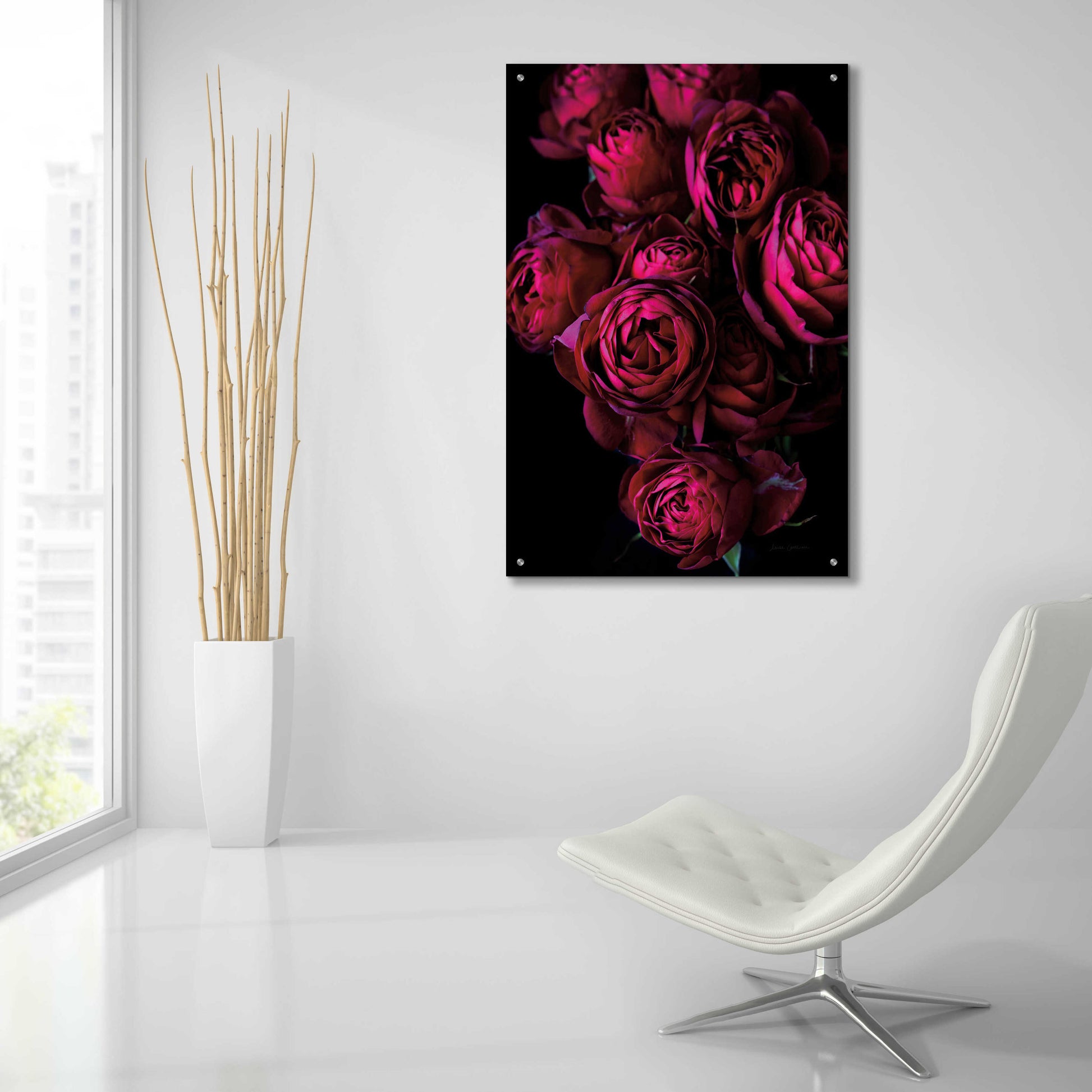 Epic Art 'Cabbage Roses' by Elise Catterall, Acrylic Glass Wall Art,24x36