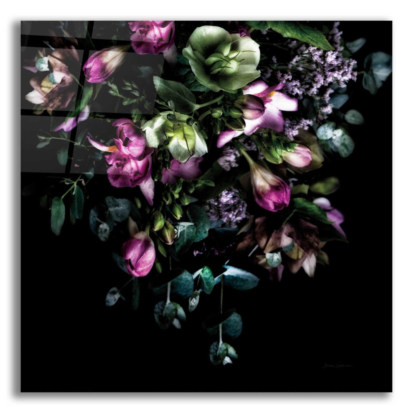 Epic Art 'Hellebores Bouquet' by Elise Catterall, Acrylic Glass Wall Art,12x12