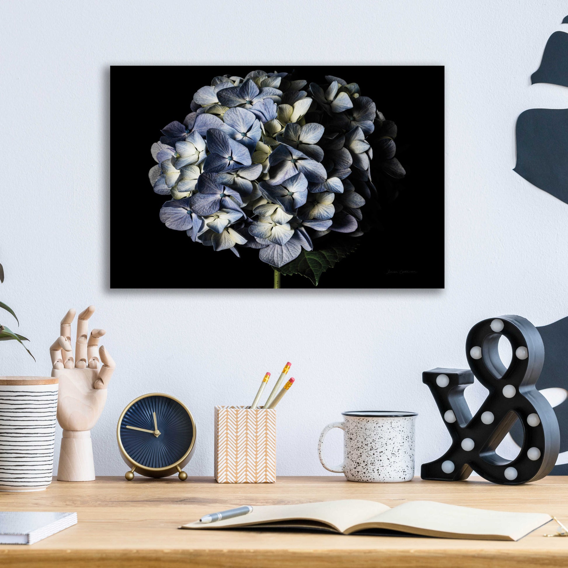 Epic Art 'Pale Blue Hydrangea' by Elise Catterall, Acrylic Glass Wall Art,16x12