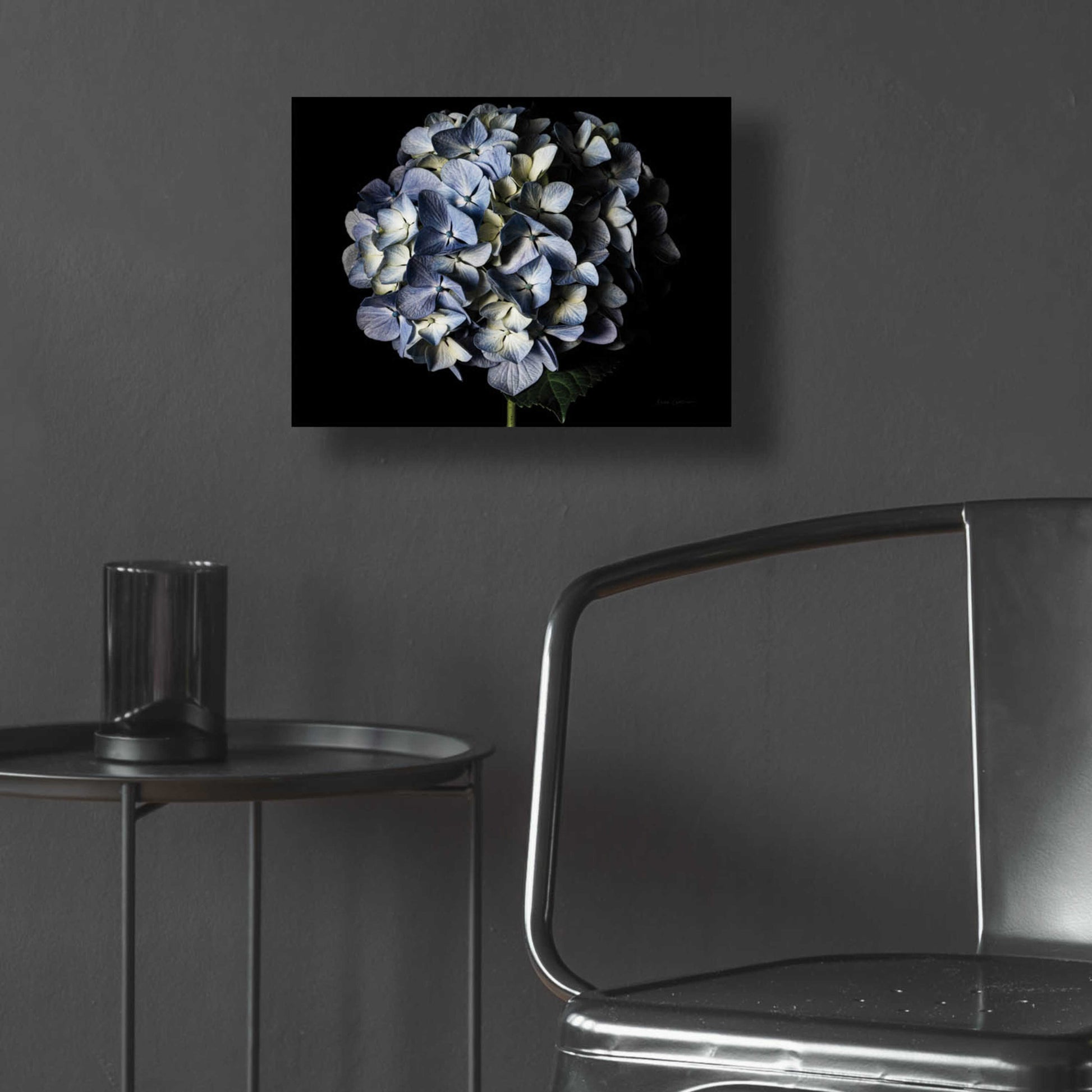 Epic Art 'Pale Blue Hydrangea' by Elise Catterall, Acrylic Glass Wall Art,16x12