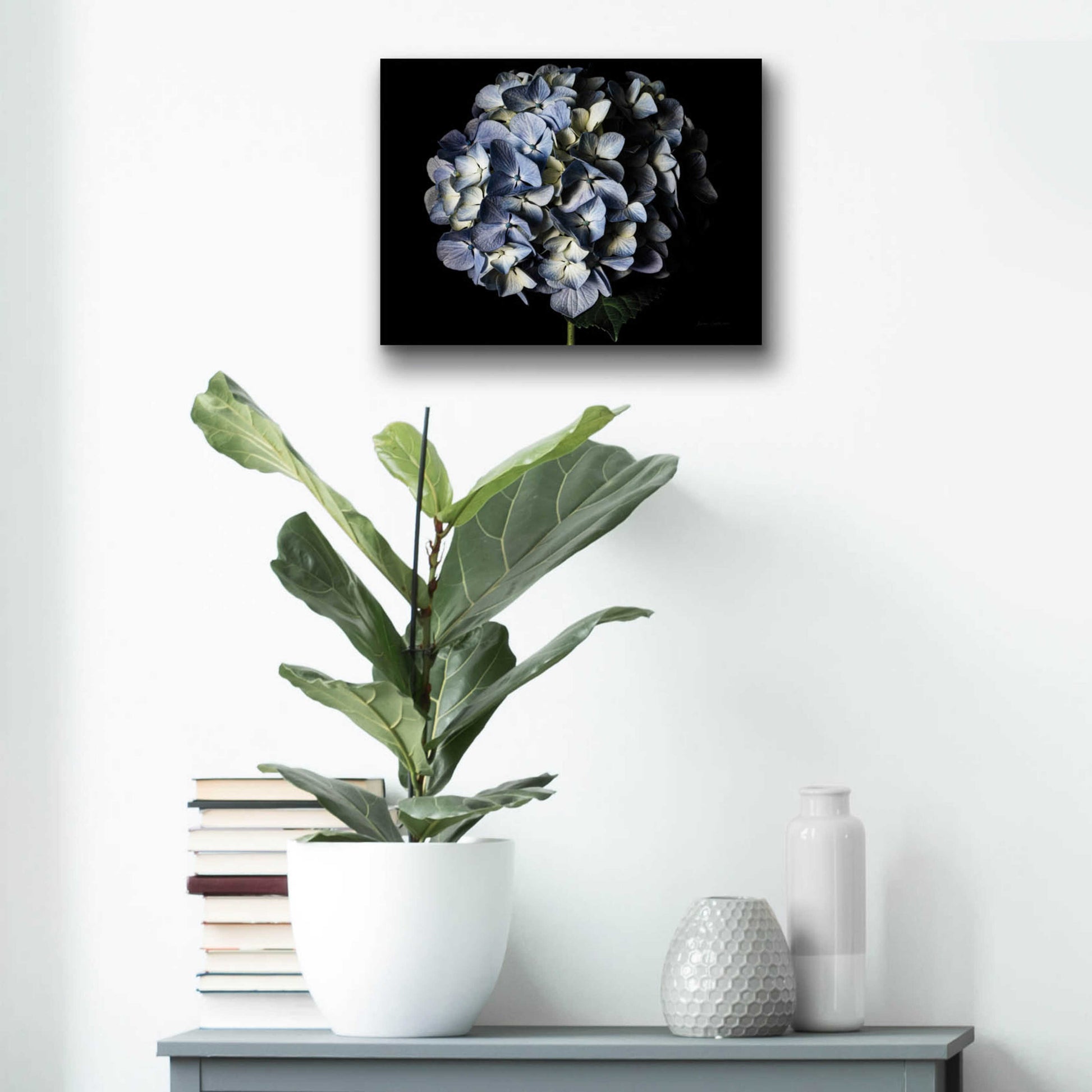 Epic Art 'Pale Blue Hydrangea' by Elise Catterall, Acrylic Glass Wall Art,16x12