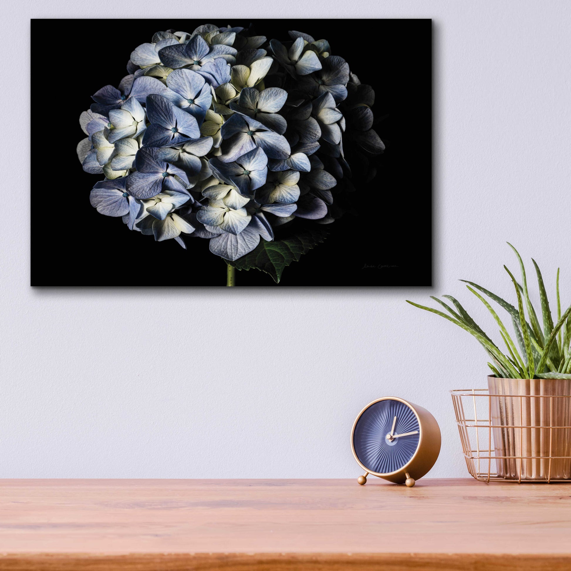 Epic Art 'Pale Blue Hydrangea' by Elise Catterall, Acrylic Glass Wall Art,16x12