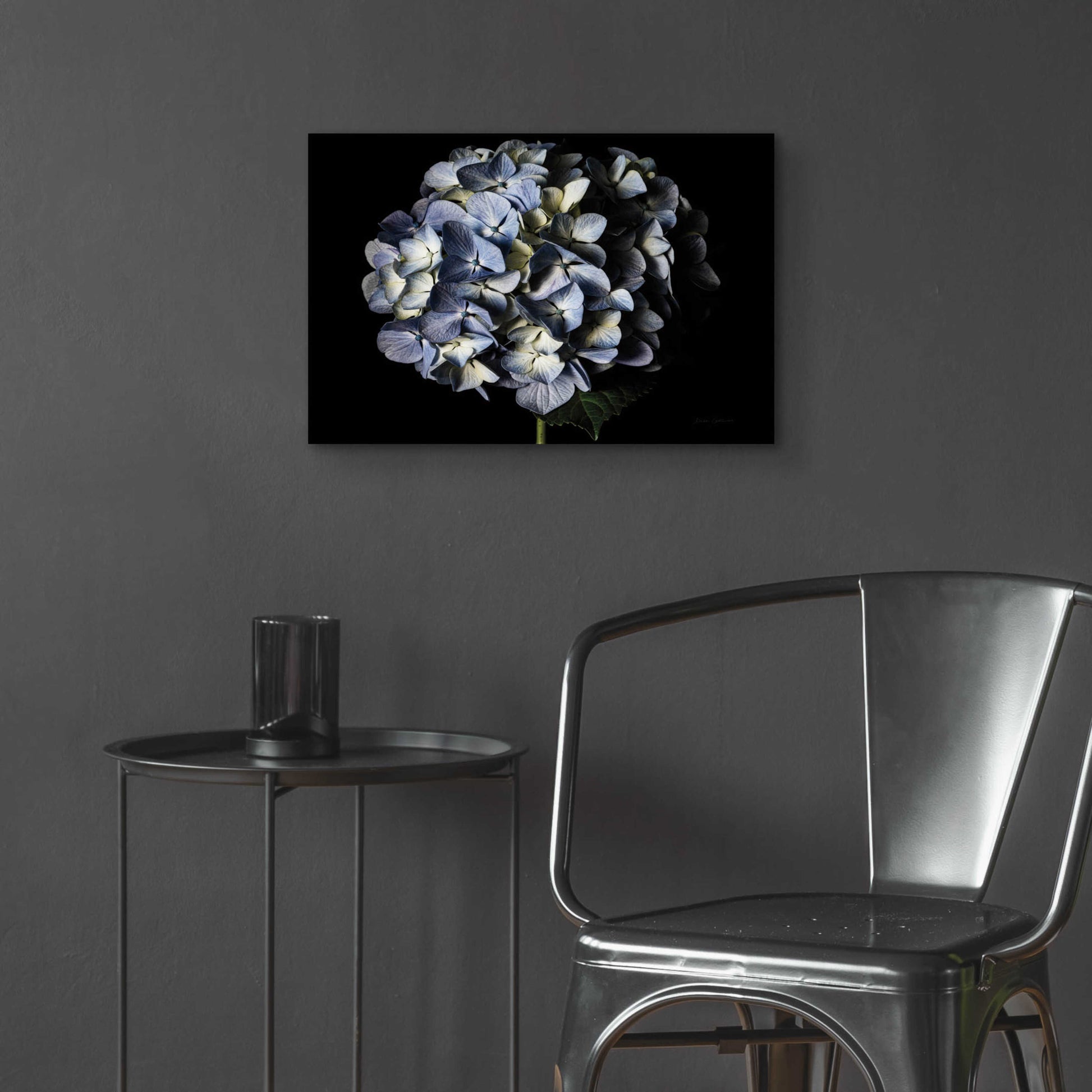 Epic Art 'Pale Blue Hydrangea' by Elise Catterall, Acrylic Glass Wall Art,24x16