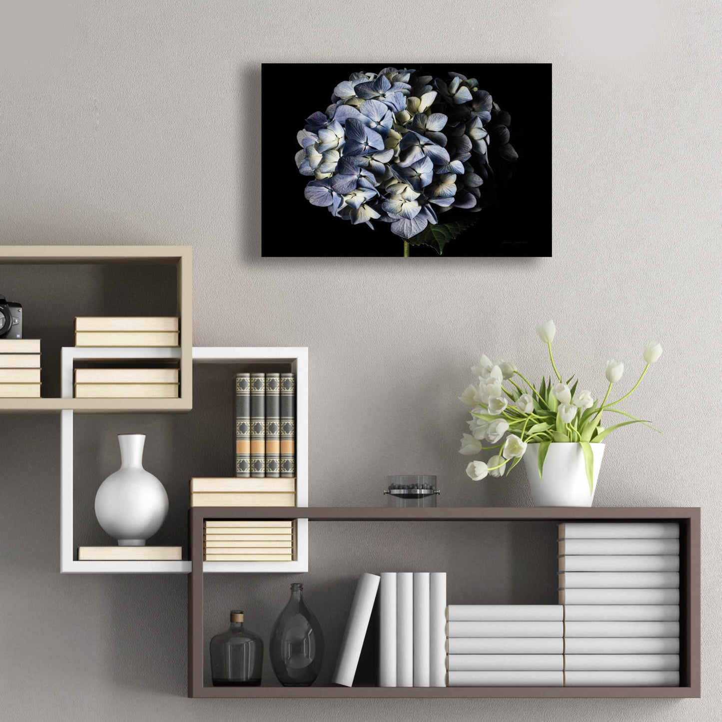 Epic Art 'Pale Blue Hydrangea' by Elise Catterall, Acrylic Glass Wall Art,24x16