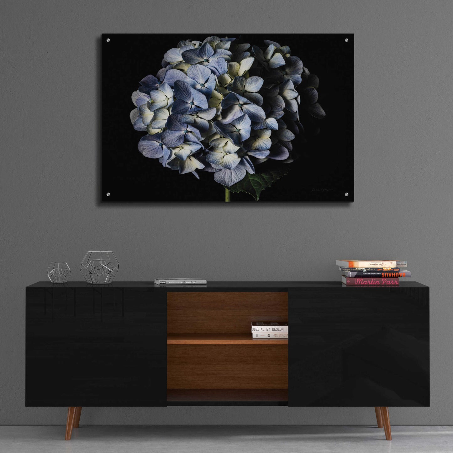 Epic Art 'Pale Blue Hydrangea' by Elise Catterall, Acrylic Glass Wall Art,36x24