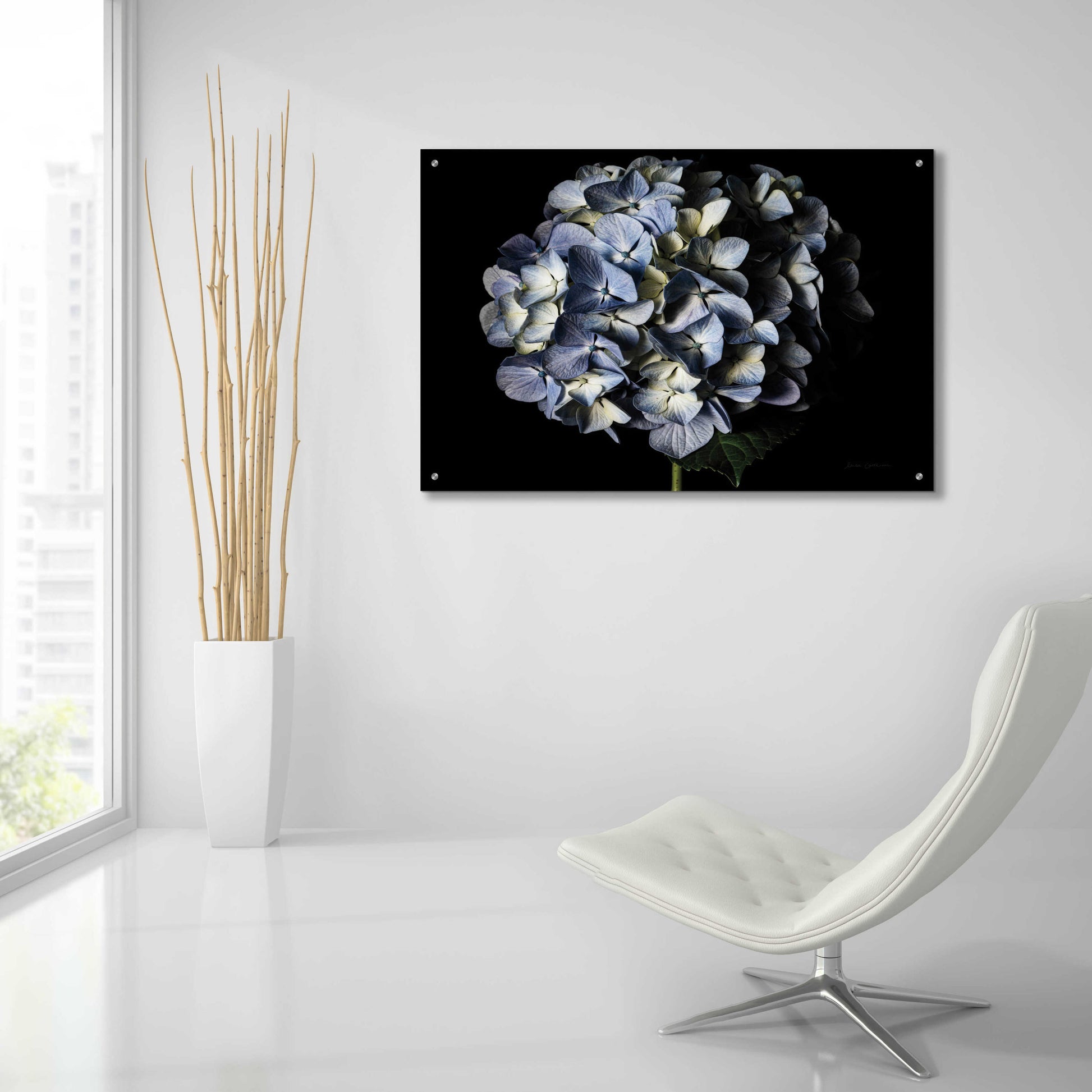 Epic Art 'Pale Blue Hydrangea' by Elise Catterall, Acrylic Glass Wall Art,36x24