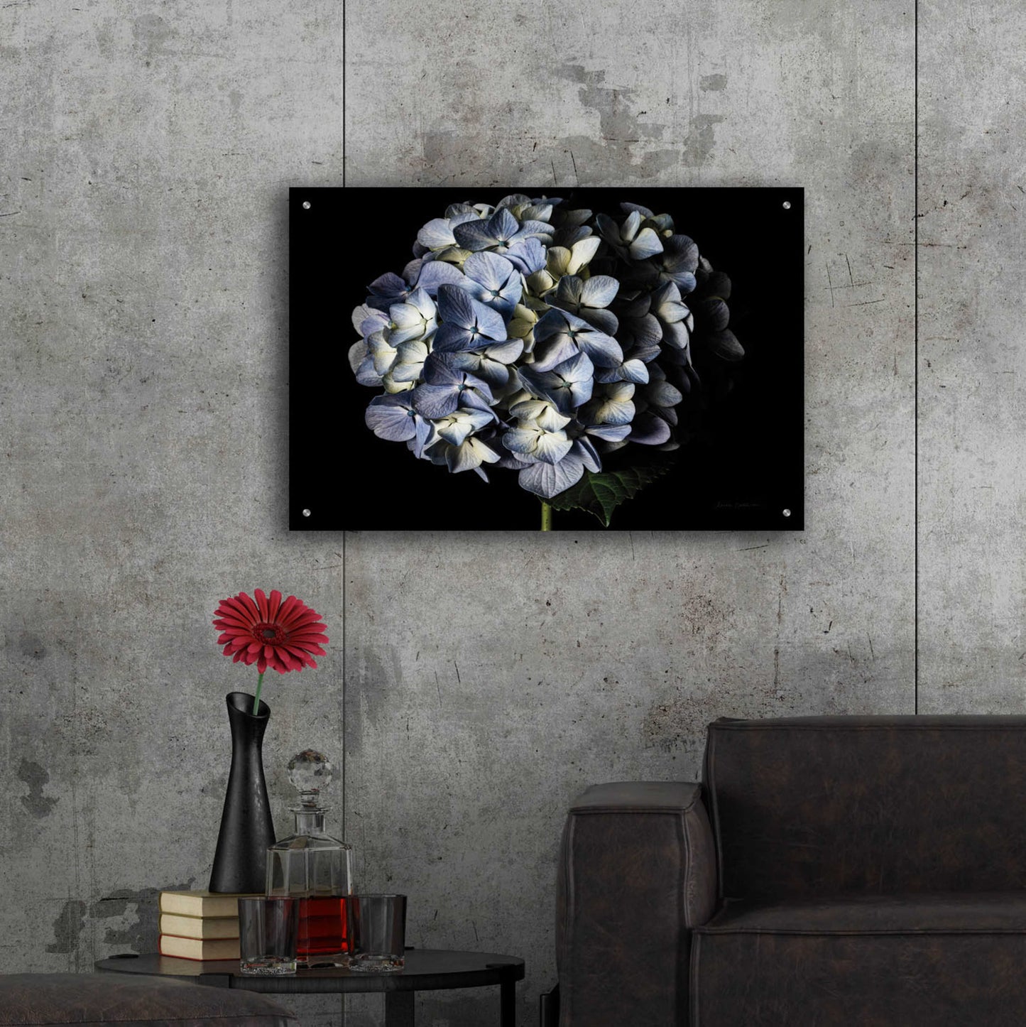 Epic Art 'Pale Blue Hydrangea' by Elise Catterall, Acrylic Glass Wall Art,36x24