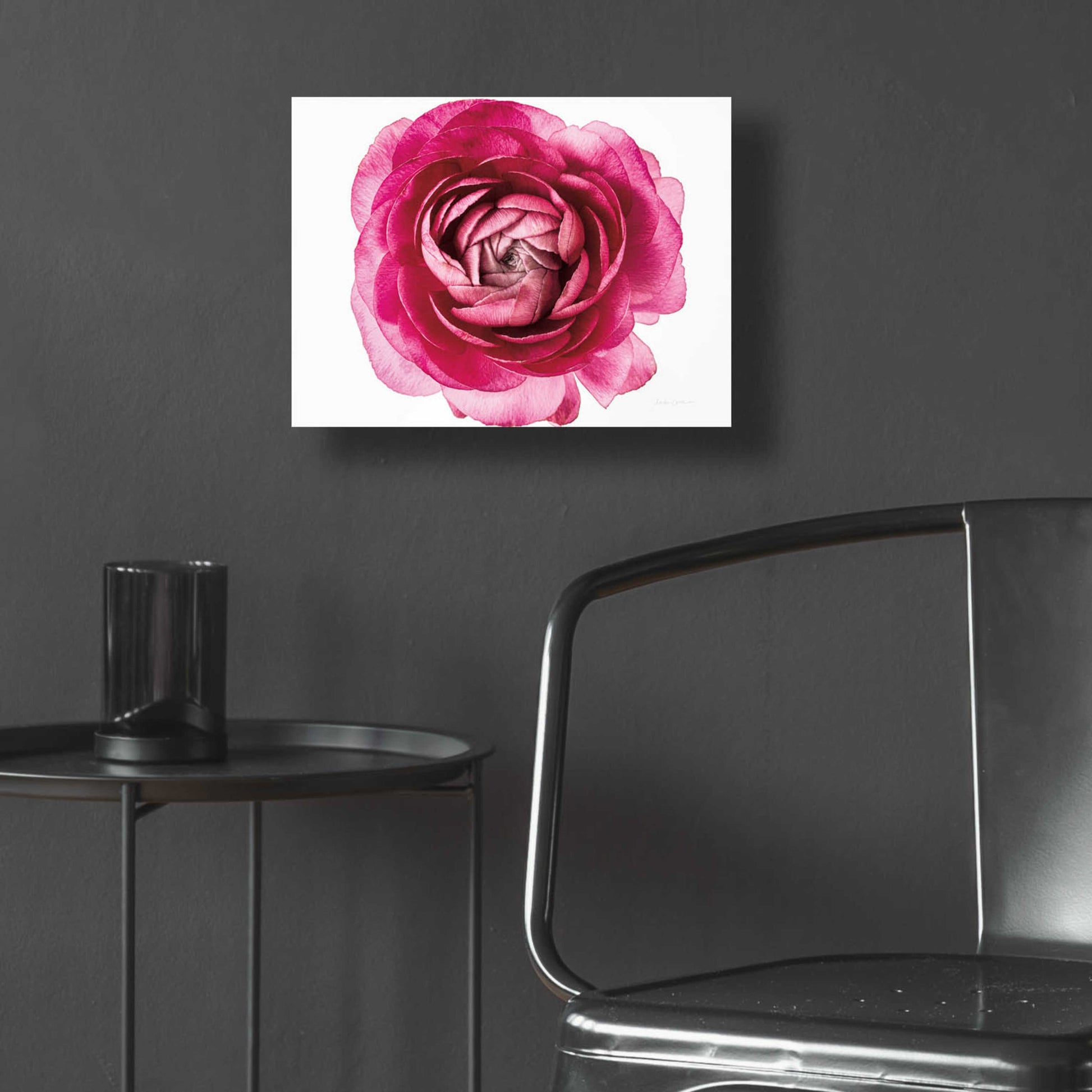 Epic Art 'Pink Ranunculus on White' by Elise Catterall, Acrylic Glass Wall Art,16x12