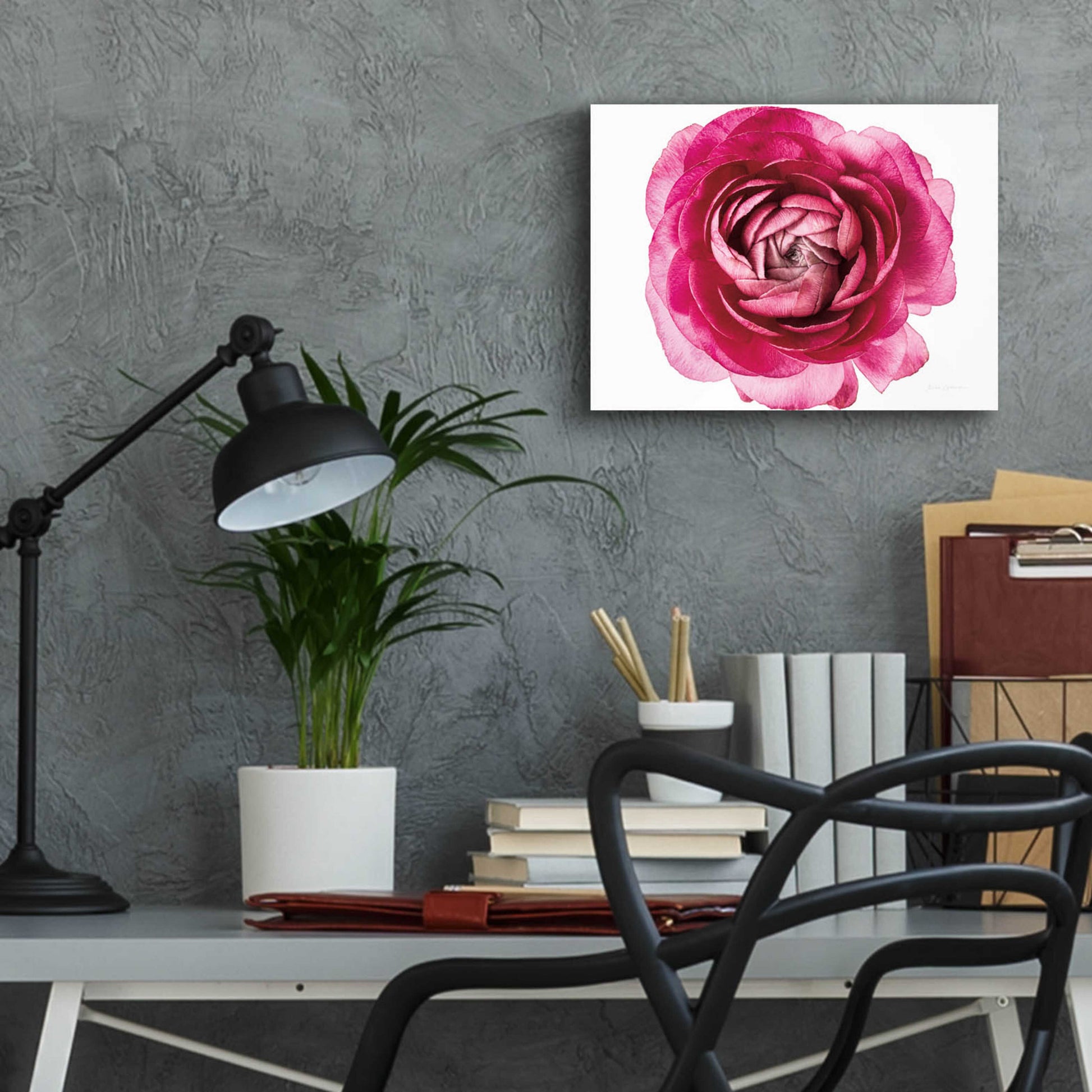 Epic Art 'Pink Ranunculus on White' by Elise Catterall, Acrylic Glass Wall Art,16x12