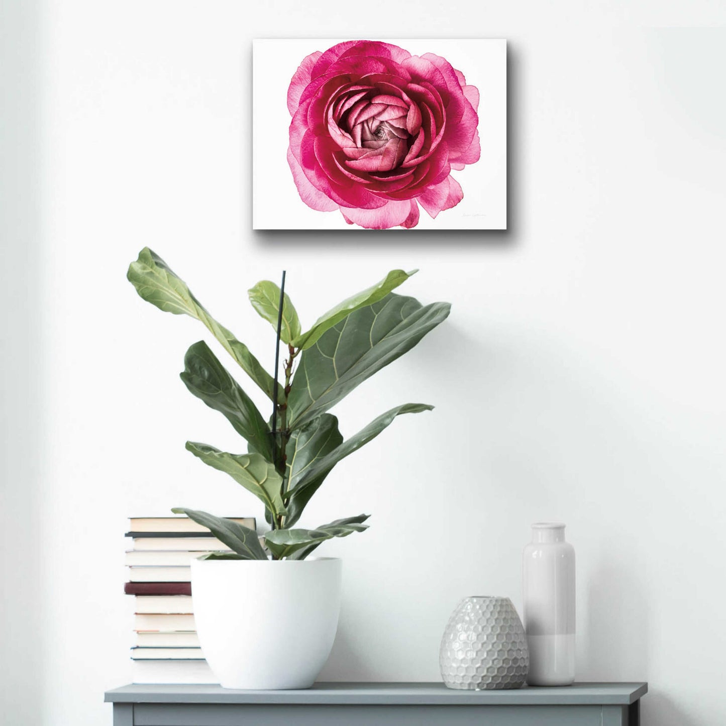 Epic Art 'Pink Ranunculus on White' by Elise Catterall, Acrylic Glass Wall Art,16x12