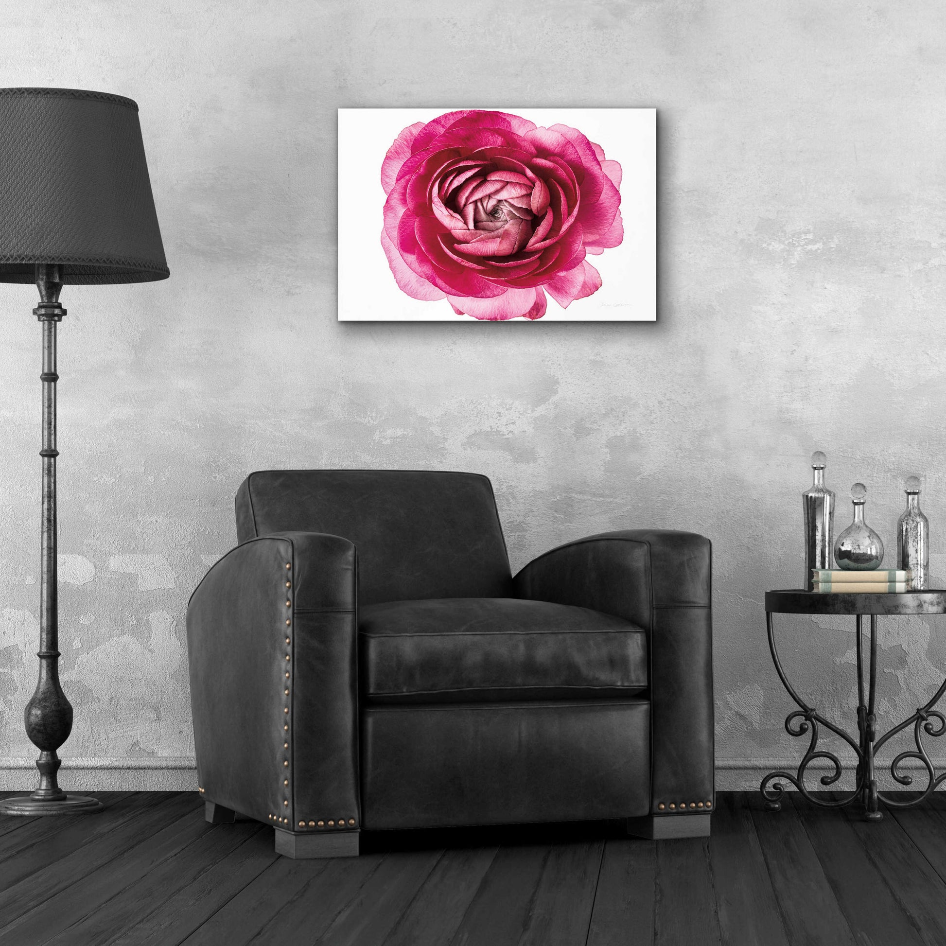 Epic Art 'Pink Ranunculus on White' by Elise Catterall, Acrylic Glass Wall Art,24x16