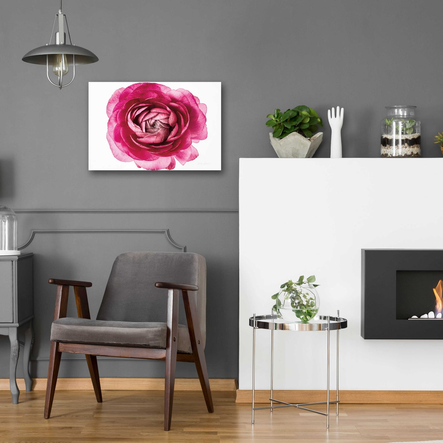 Epic Art 'Pink Ranunculus on White' by Elise Catterall, Acrylic Glass Wall Art,24x16