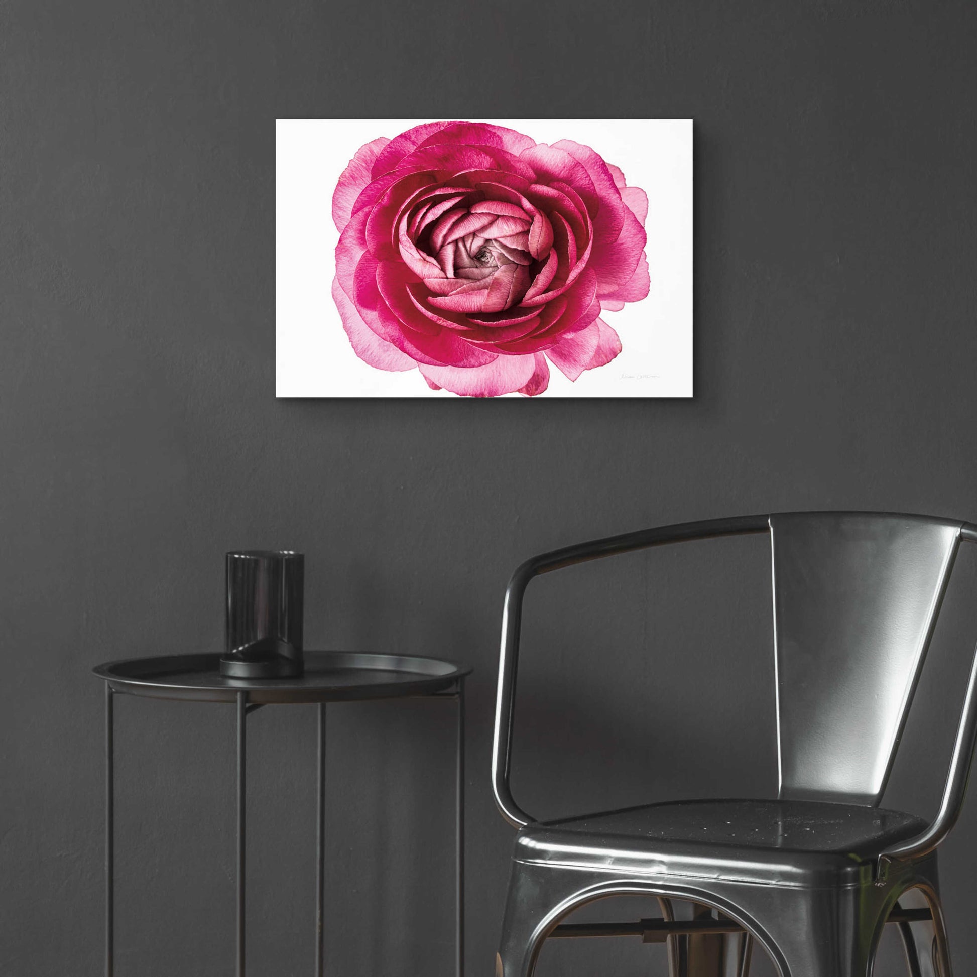 Epic Art 'Pink Ranunculus on White' by Elise Catterall, Acrylic Glass Wall Art,24x16