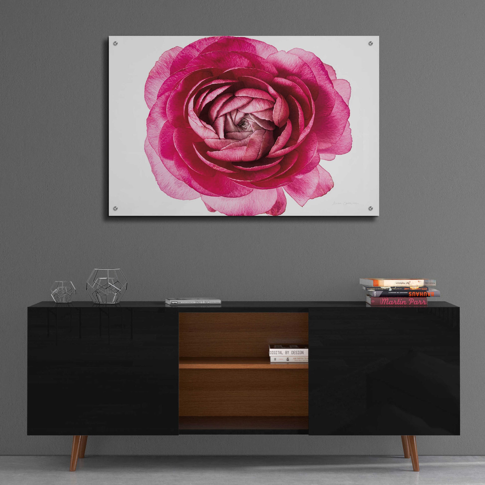 Epic Art 'Pink Ranunculus on White' by Elise Catterall, Acrylic Glass Wall Art,36x24