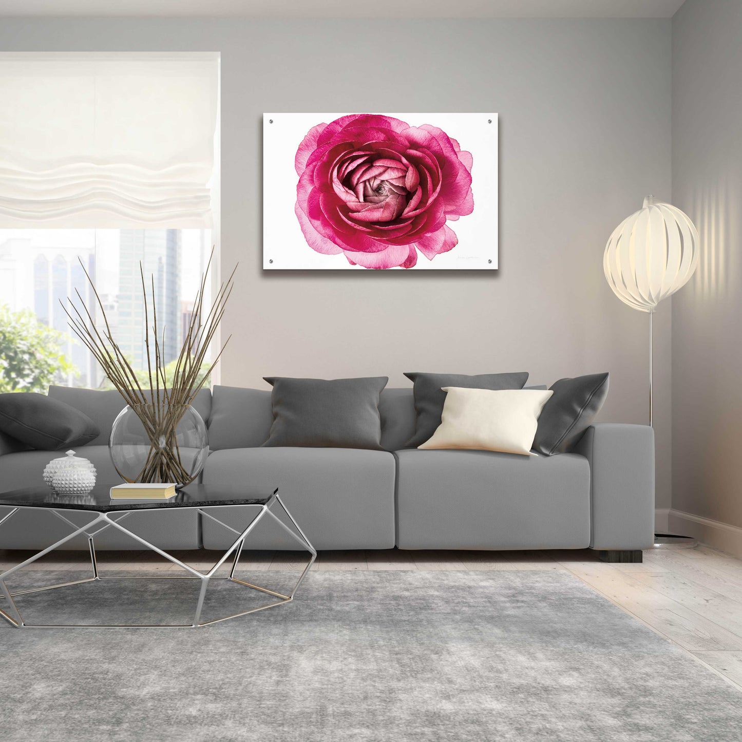 Epic Art 'Pink Ranunculus on White' by Elise Catterall, Acrylic Glass Wall Art,36x24