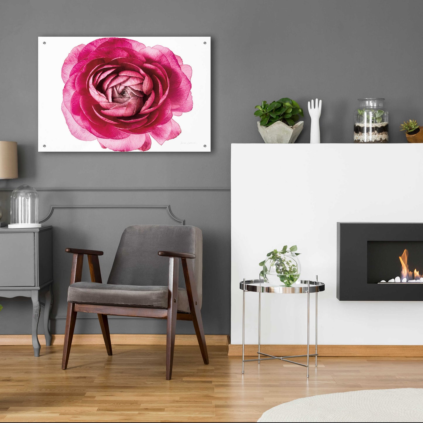 Epic Art 'Pink Ranunculus on White' by Elise Catterall, Acrylic Glass Wall Art,36x24