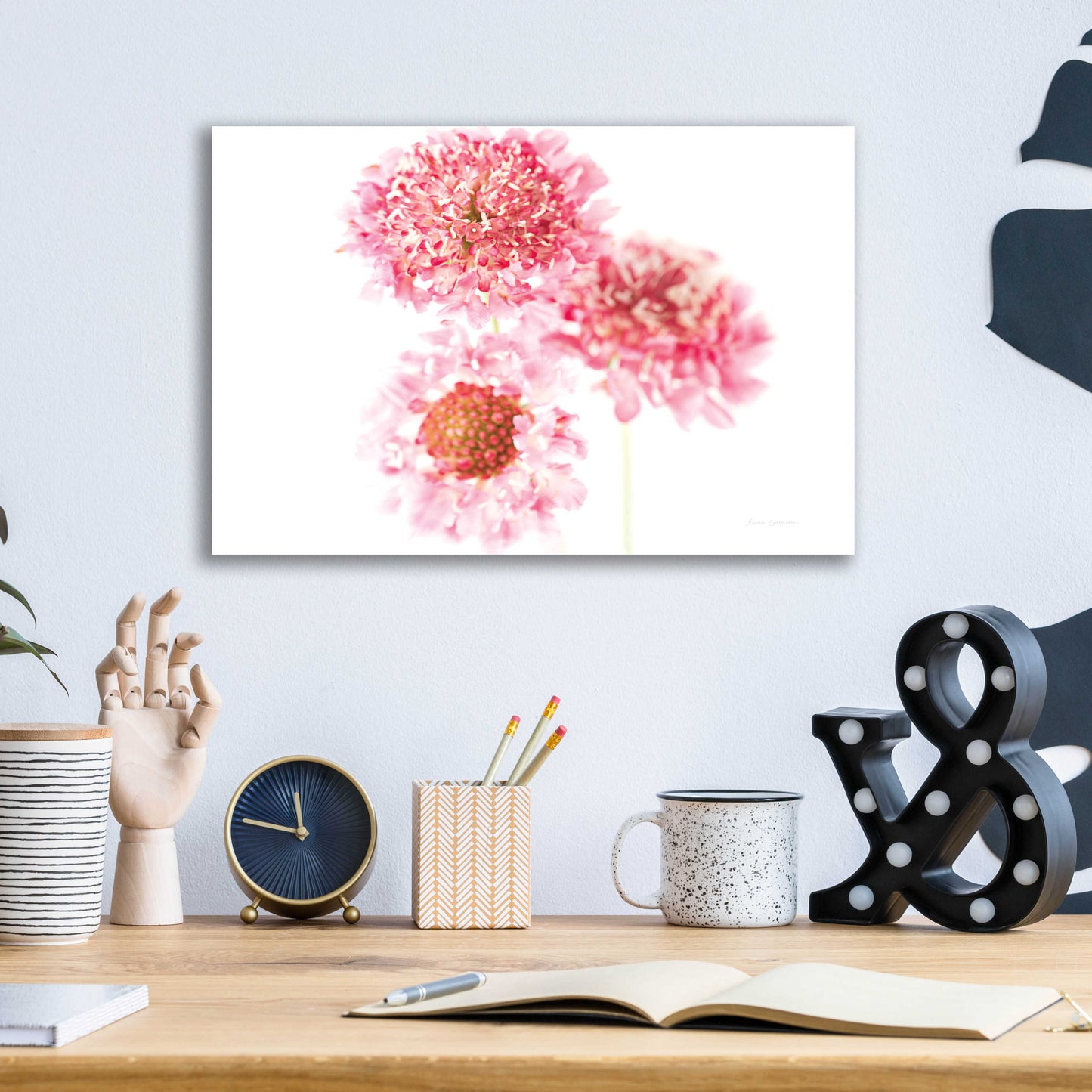 Epic Art 'Pink Scabiosa Trio' by Elise Catterall, Acrylic Glass Wall Art,16x12