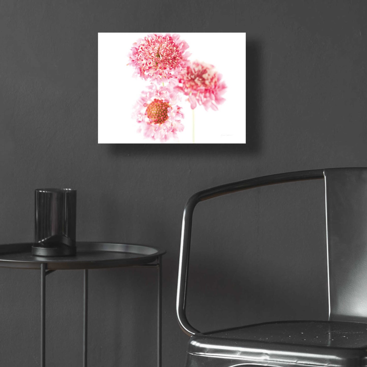 Epic Art 'Pink Scabiosa Trio' by Elise Catterall, Acrylic Glass Wall Art,16x12