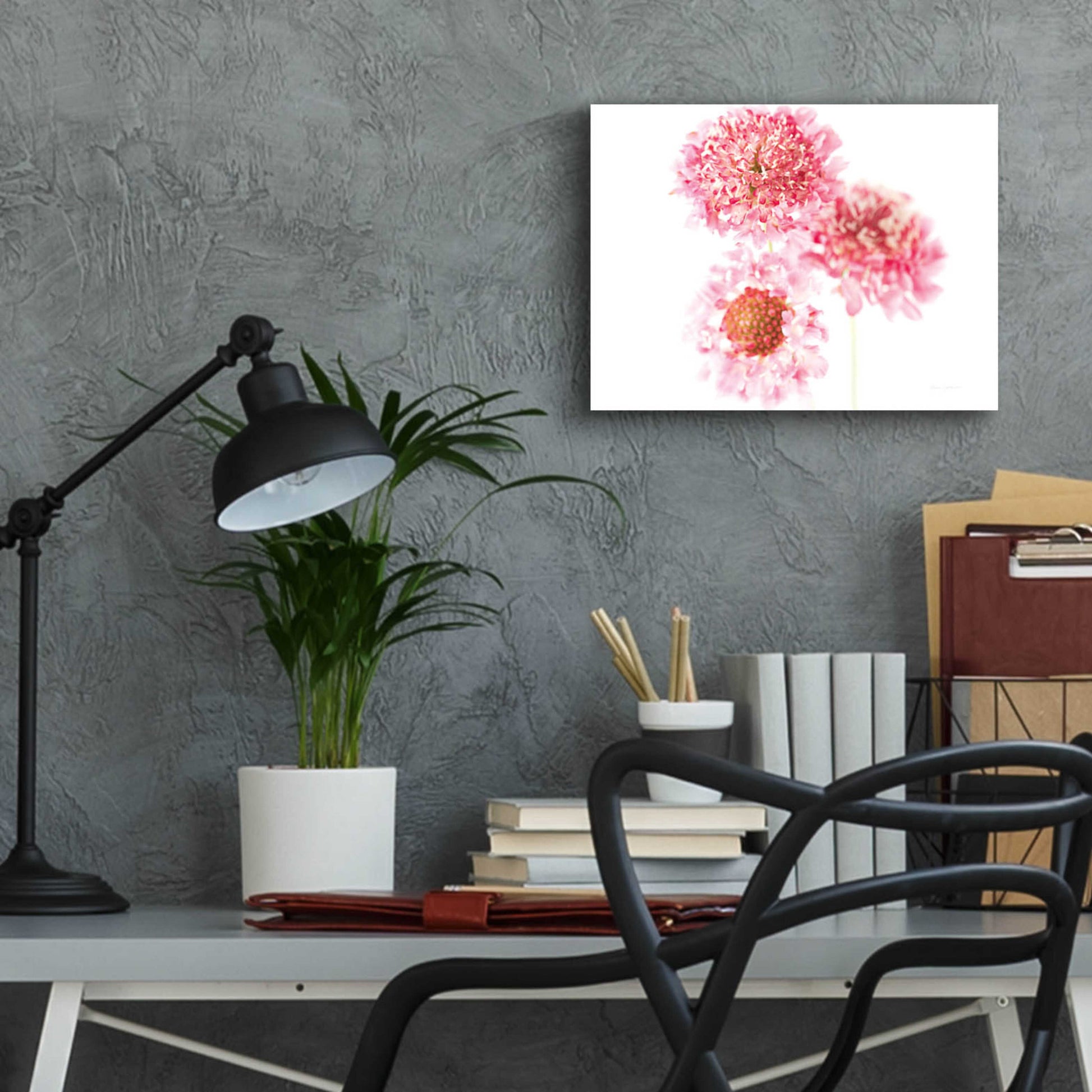 Epic Art 'Pink Scabiosa Trio' by Elise Catterall, Acrylic Glass Wall Art,16x12