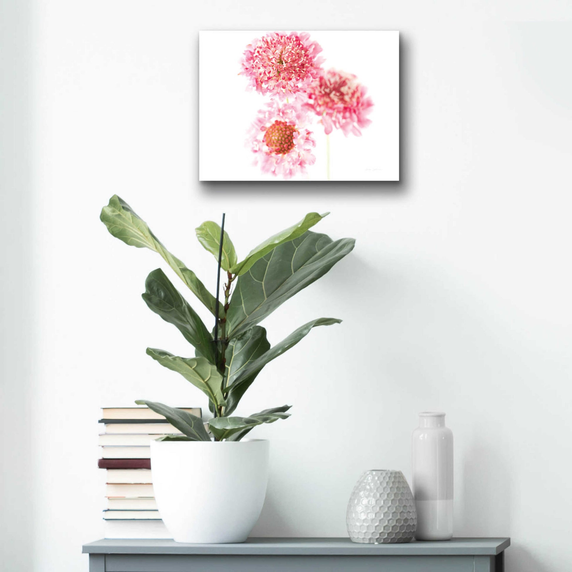 Epic Art 'Pink Scabiosa Trio' by Elise Catterall, Acrylic Glass Wall Art,16x12