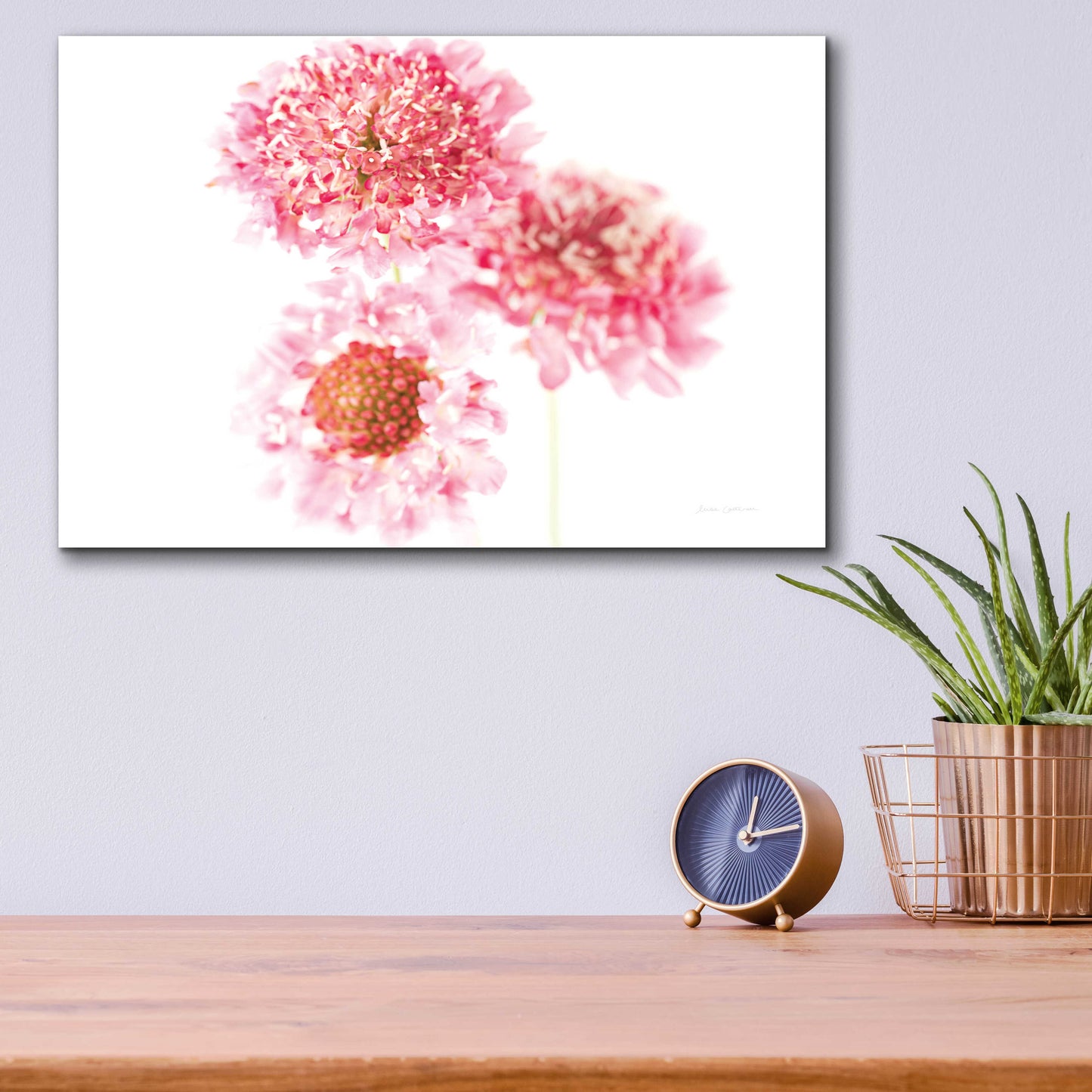 Epic Art 'Pink Scabiosa Trio' by Elise Catterall, Acrylic Glass Wall Art,16x12