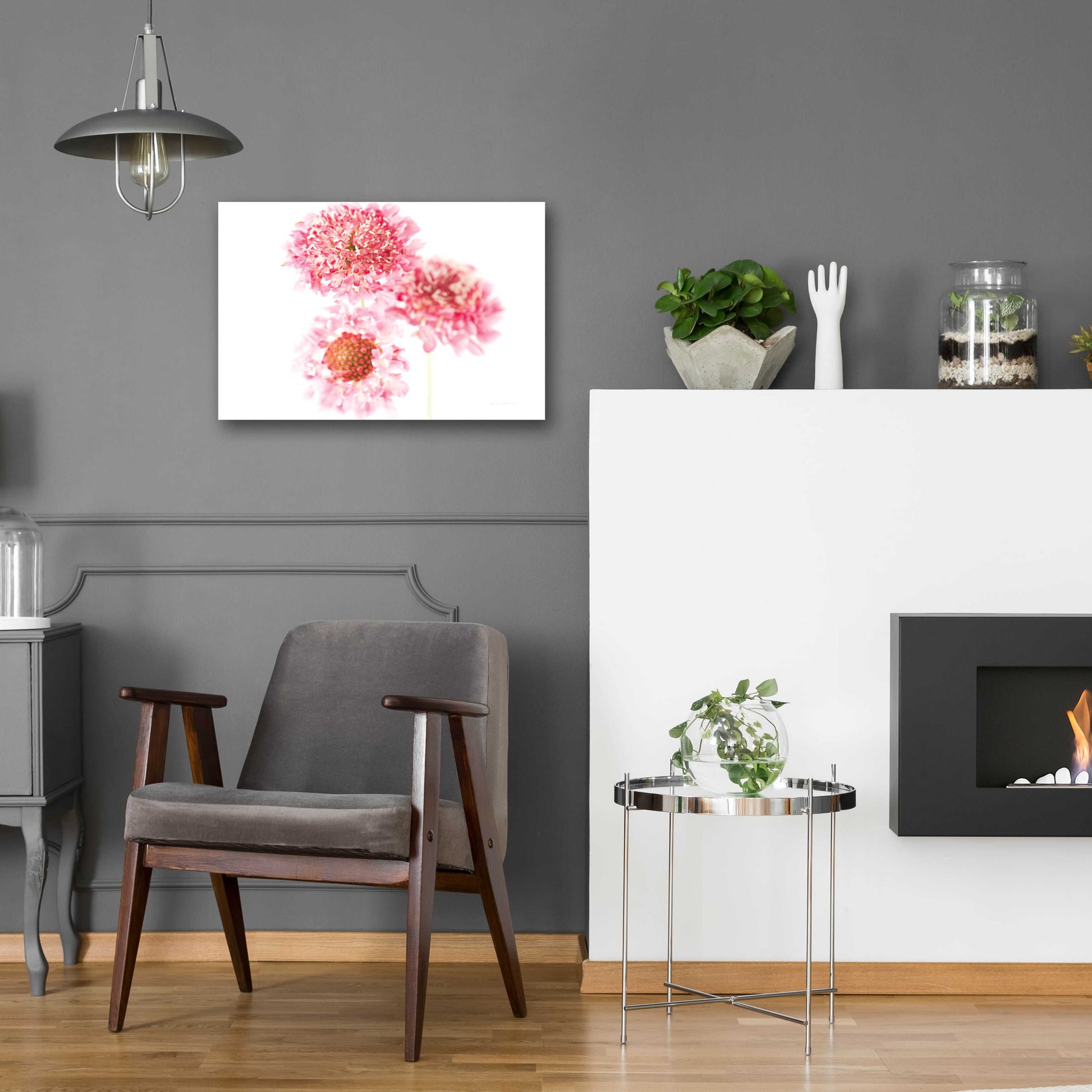 Epic Art 'Pink Scabiosa Trio' by Elise Catterall, Acrylic Glass Wall Art,24x16