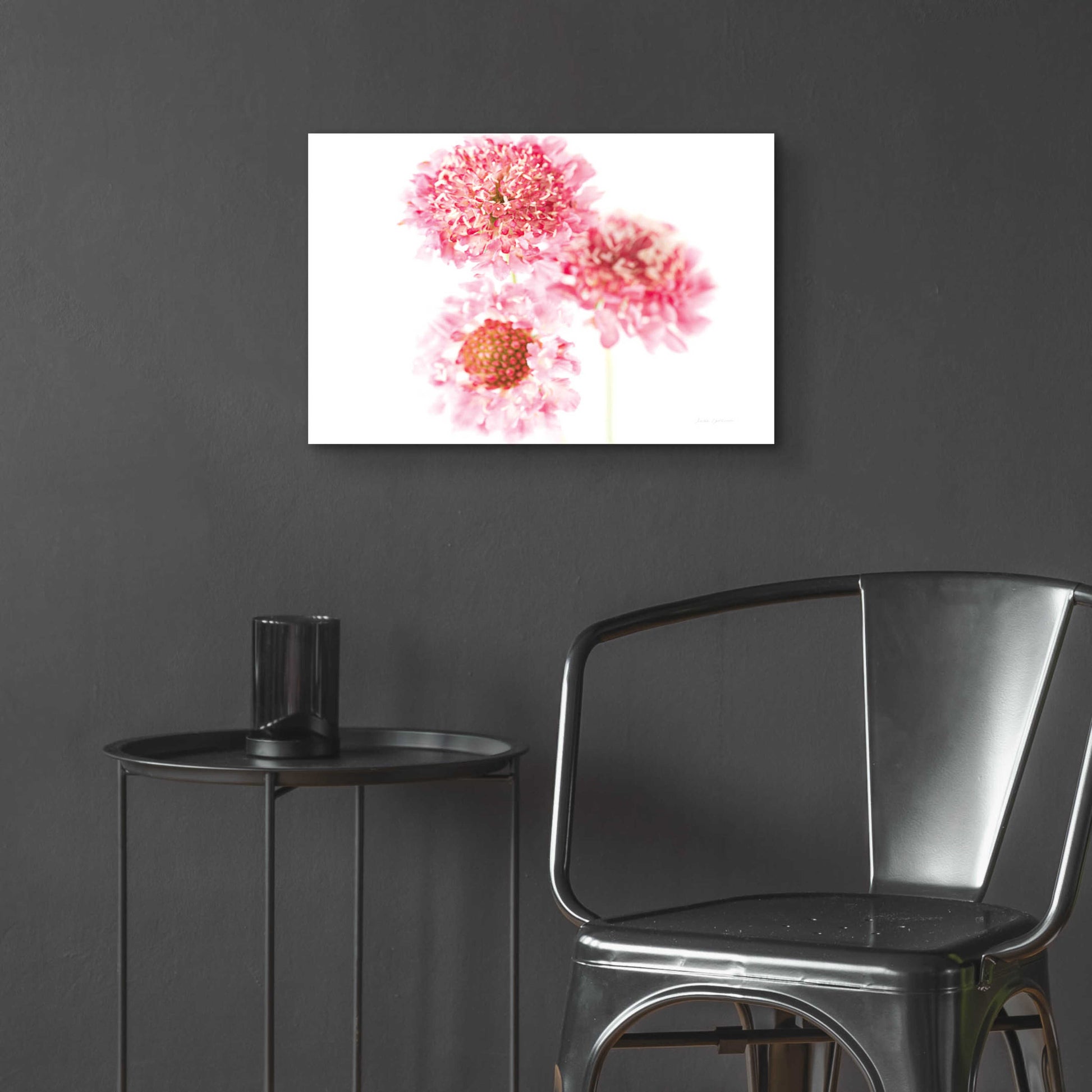 Epic Art 'Pink Scabiosa Trio' by Elise Catterall, Acrylic Glass Wall Art,24x16