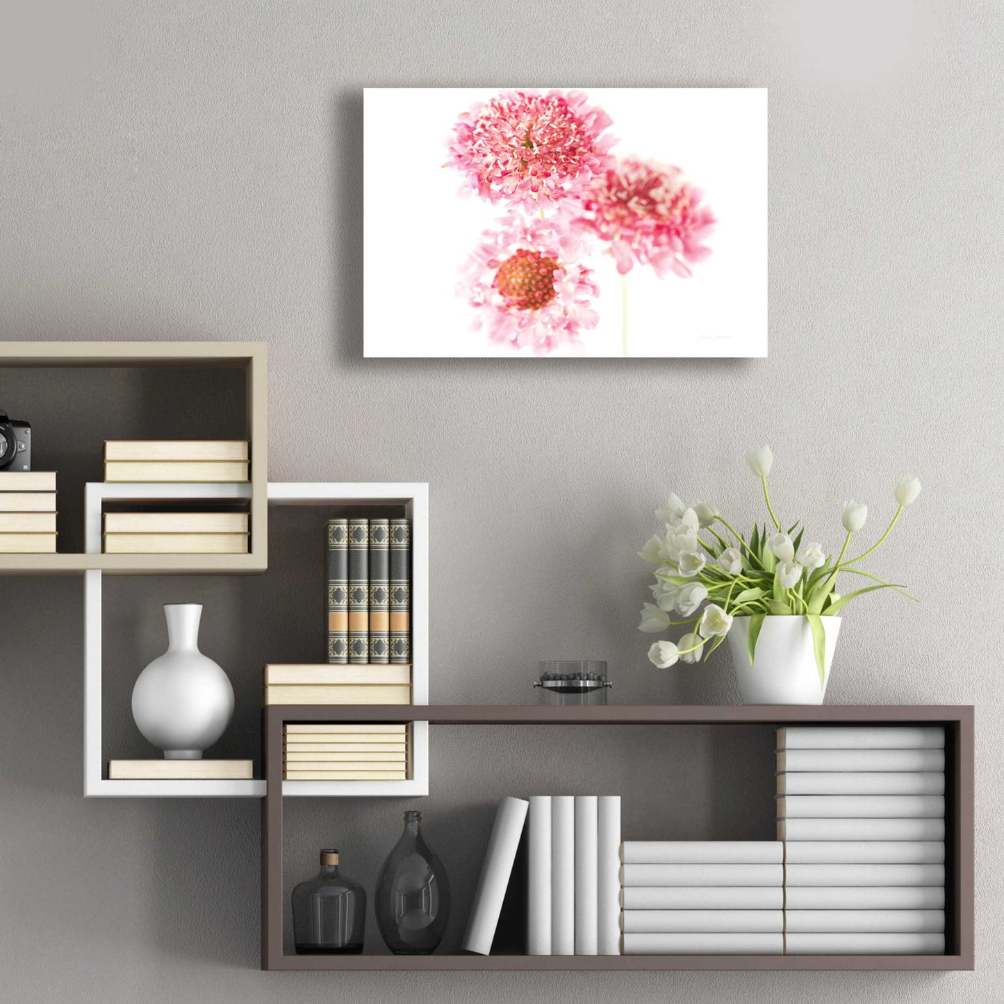 Epic Art 'Pink Scabiosa Trio' by Elise Catterall, Acrylic Glass Wall Art,24x16