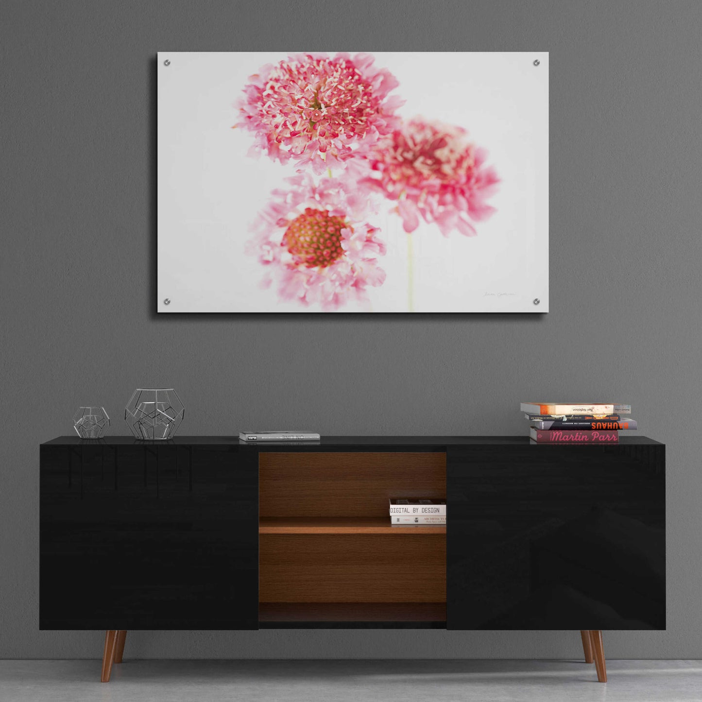 Epic Art 'Pink Scabiosa Trio' by Elise Catterall, Acrylic Glass Wall Art,36x24