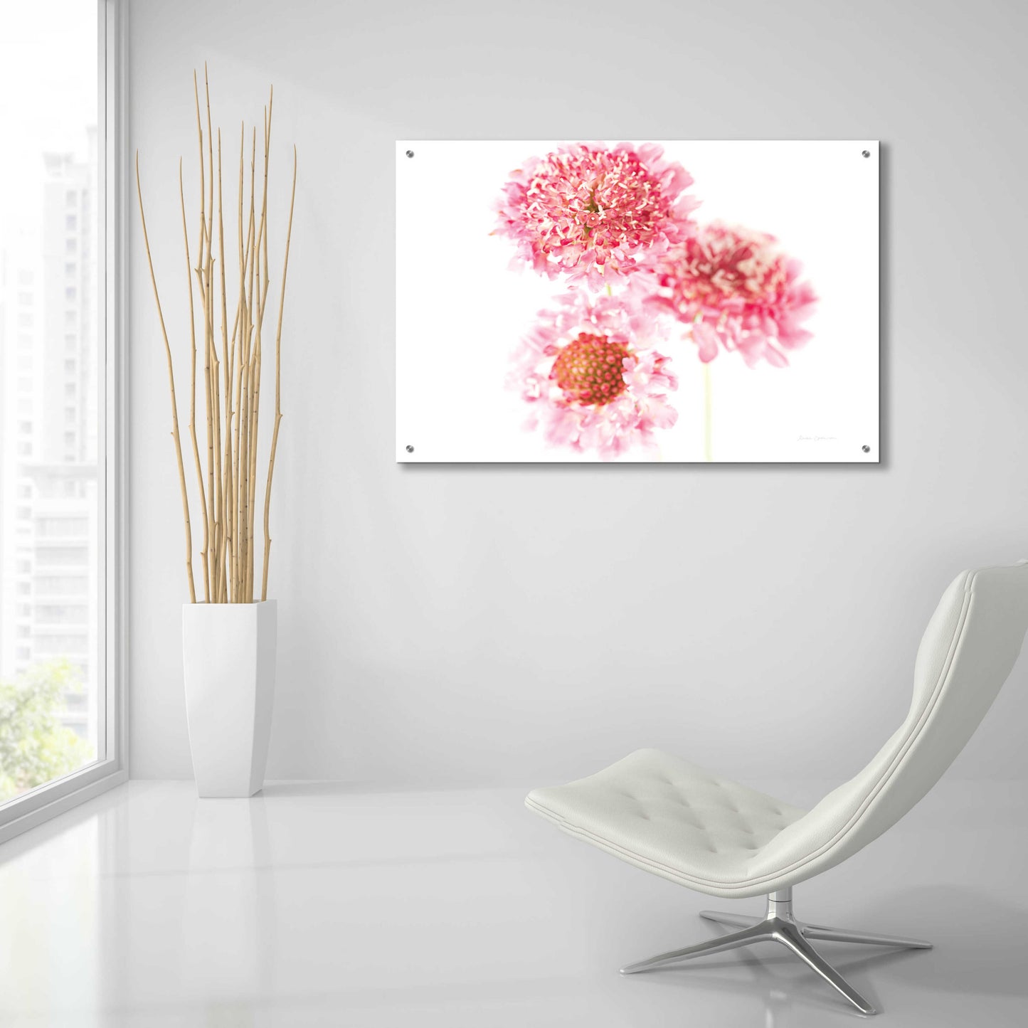 Epic Art 'Pink Scabiosa Trio' by Elise Catterall, Acrylic Glass Wall Art,36x24