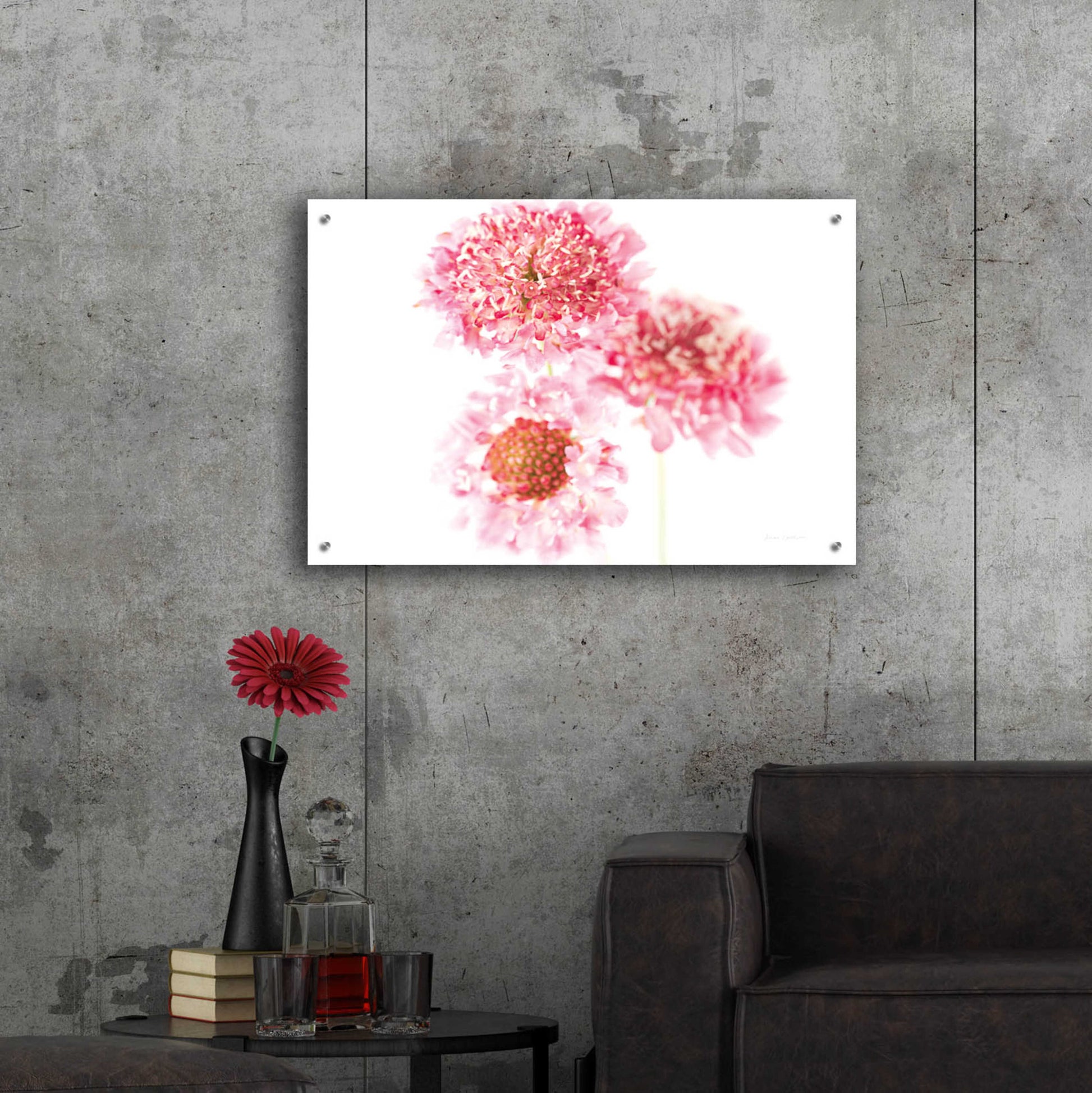 Epic Art 'Pink Scabiosa Trio' by Elise Catterall, Acrylic Glass Wall Art,36x24