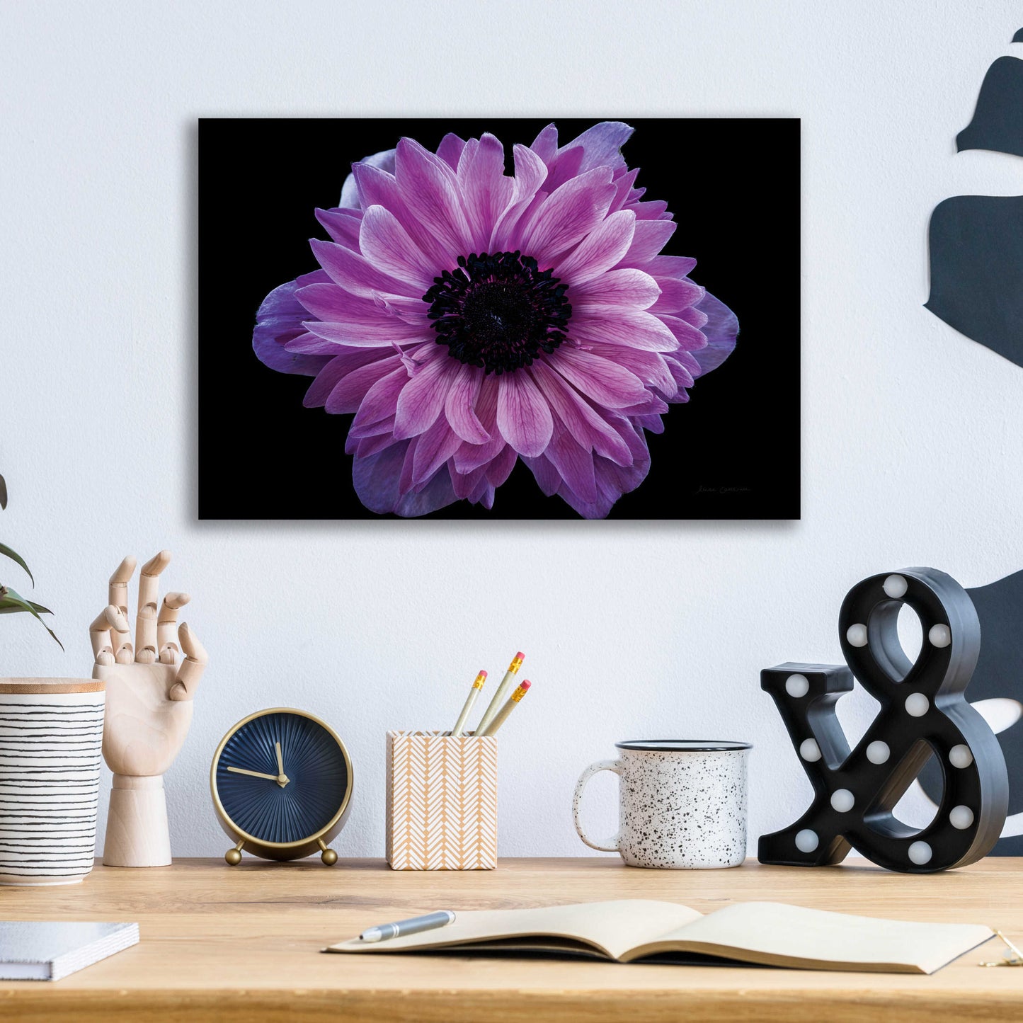 Epic Art 'Purple Anemone' by Elise Catterall, Acrylic Glass Wall Art,16x12