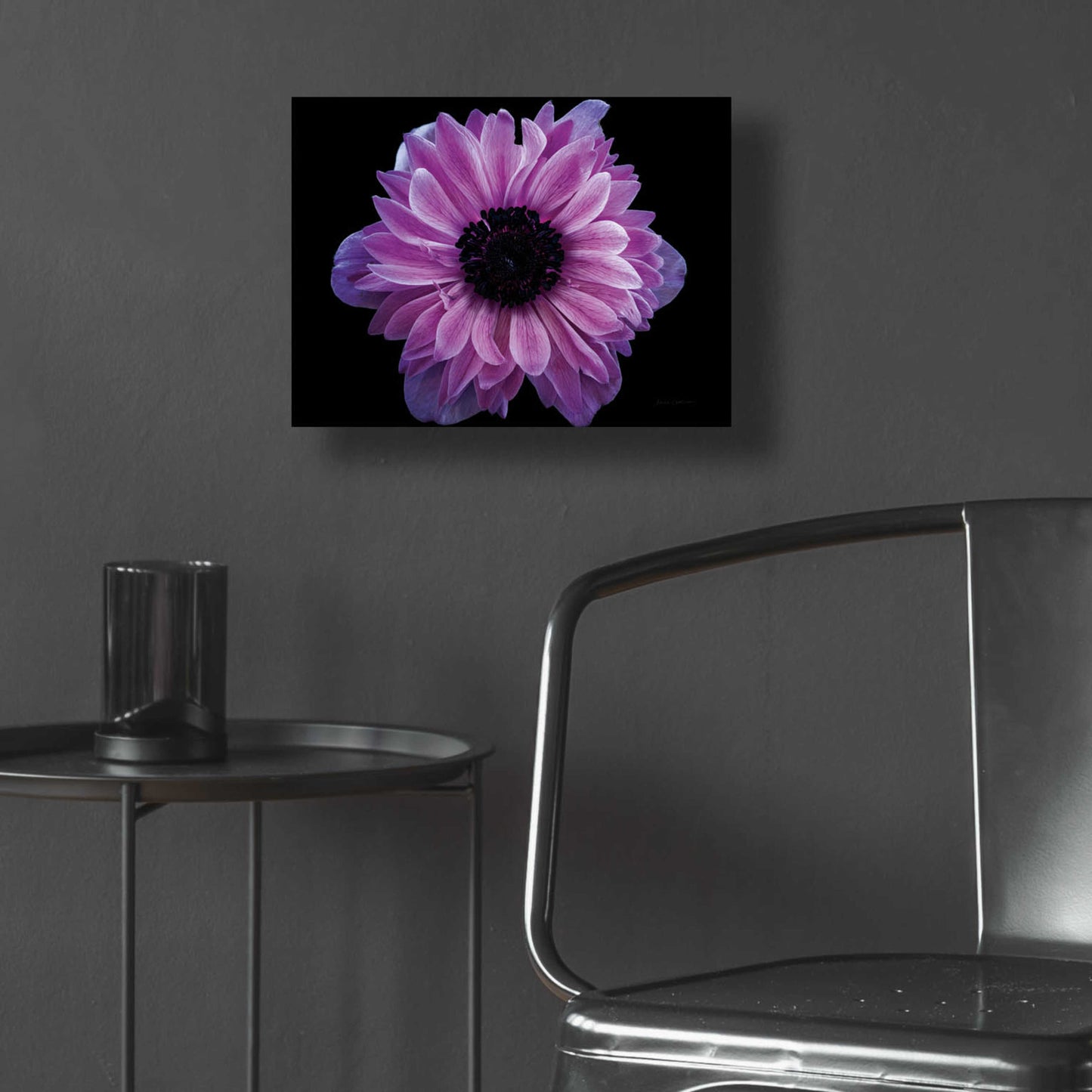 Epic Art 'Purple Anemone' by Elise Catterall, Acrylic Glass Wall Art,16x12