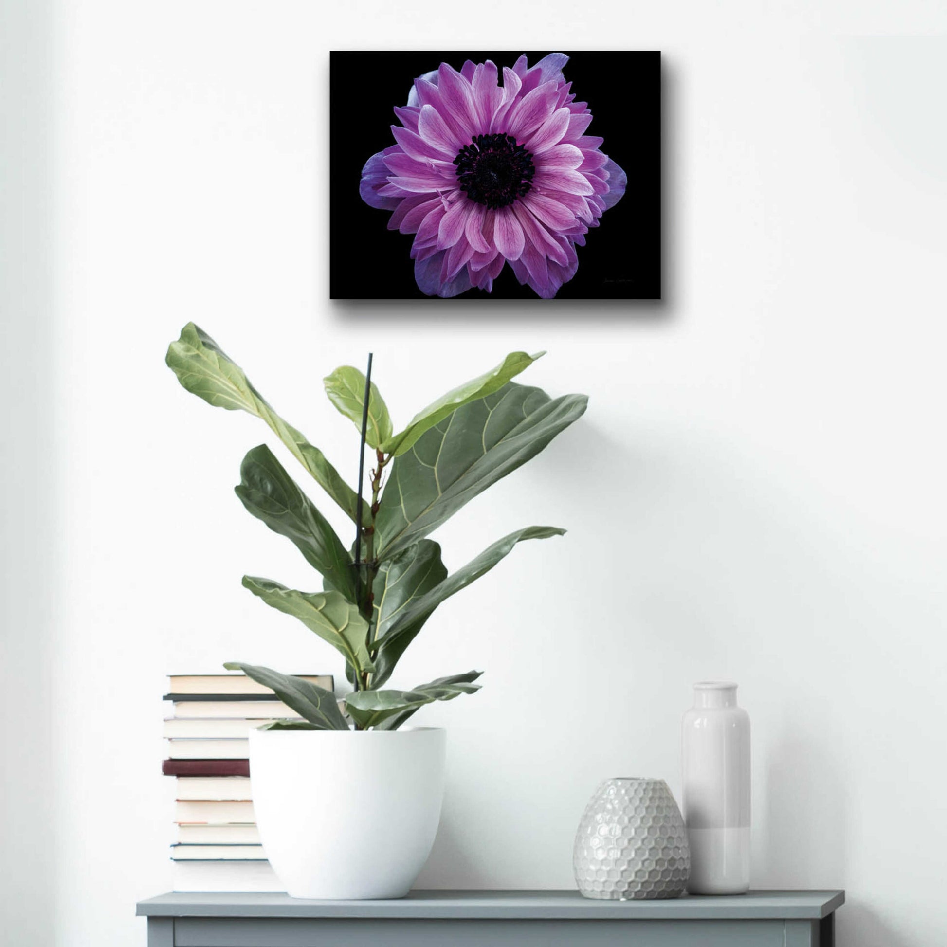 Epic Art 'Purple Anemone' by Elise Catterall, Acrylic Glass Wall Art,16x12