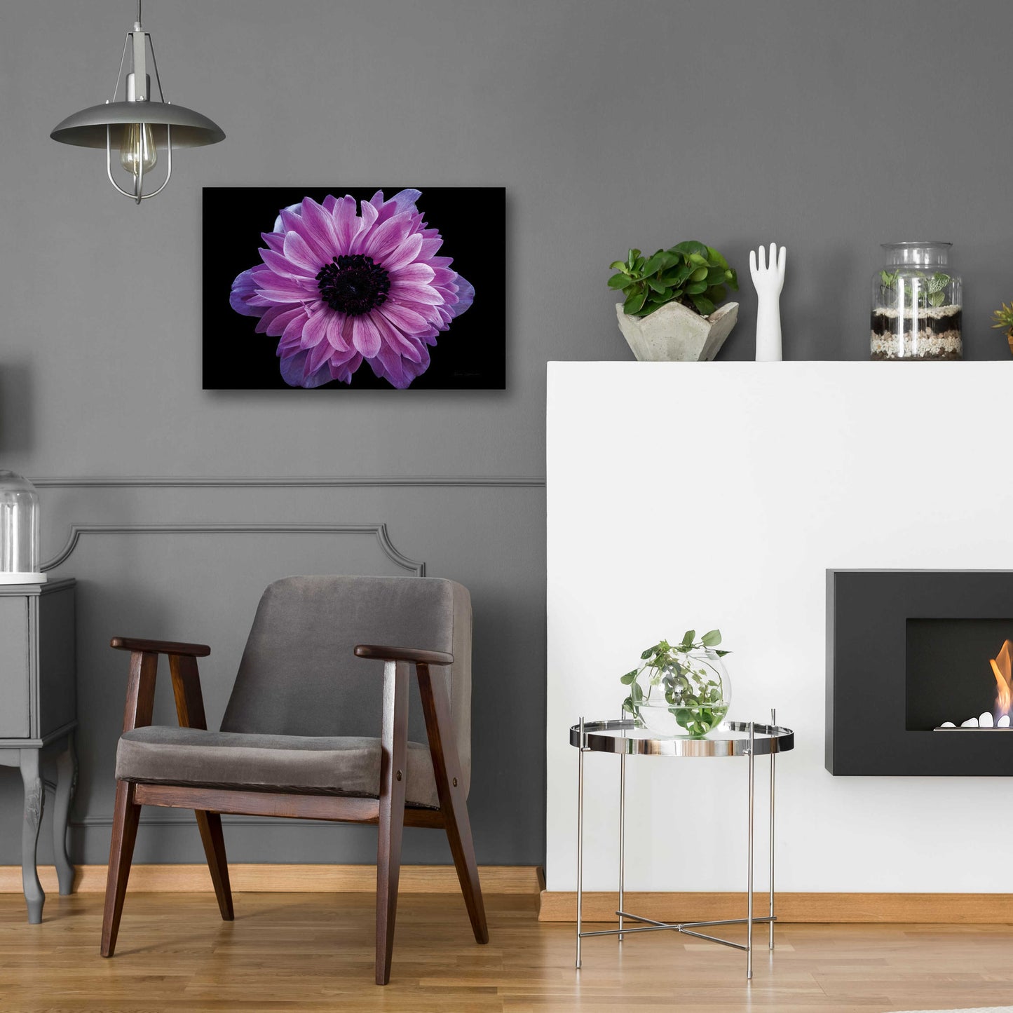 Epic Art 'Purple Anemone' by Elise Catterall, Acrylic Glass Wall Art,24x16