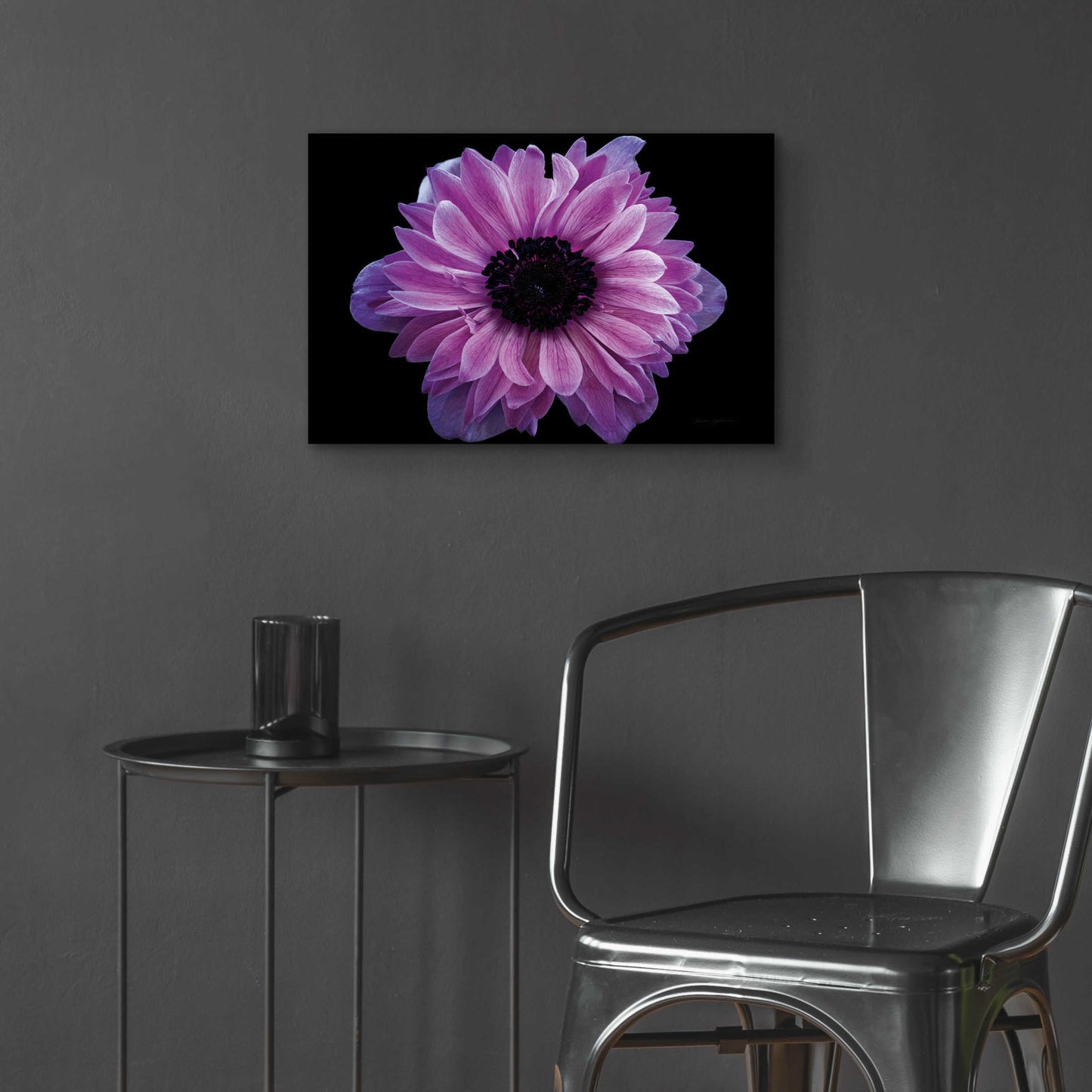 Epic Art 'Purple Anemone' by Elise Catterall, Acrylic Glass Wall Art,24x16