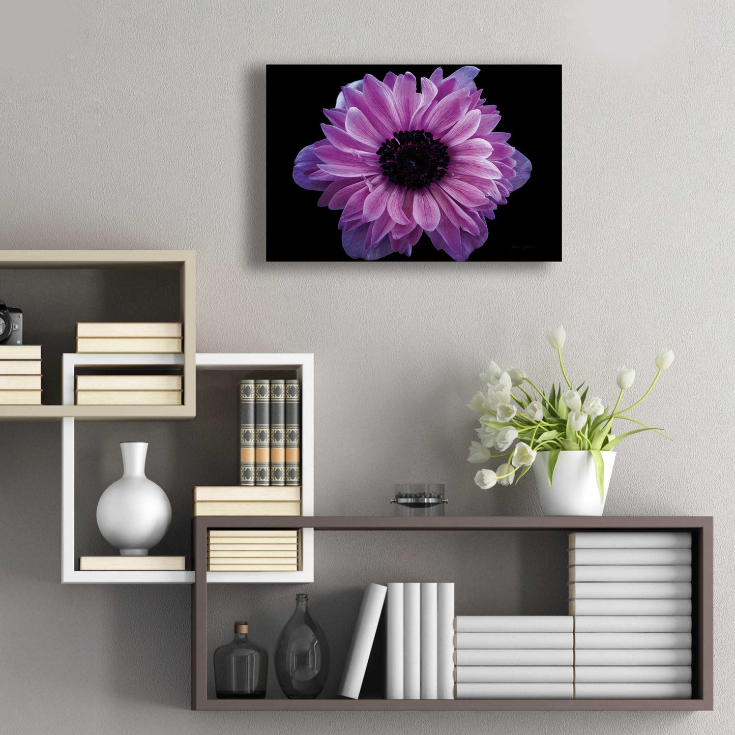 Epic Art 'Purple Anemone' by Elise Catterall, Acrylic Glass Wall Art,24x16