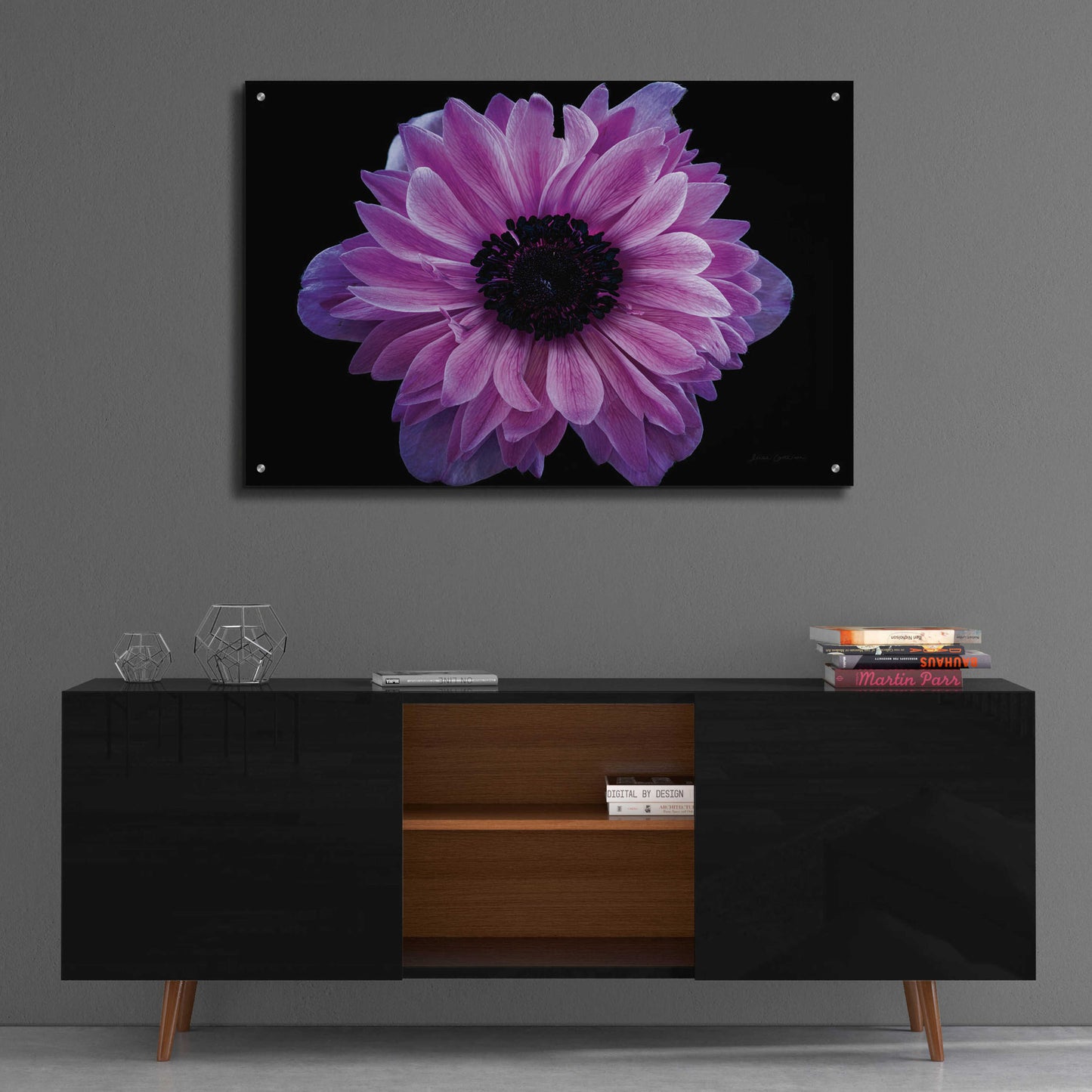 Epic Art 'Purple Anemone' by Elise Catterall, Acrylic Glass Wall Art,36x24