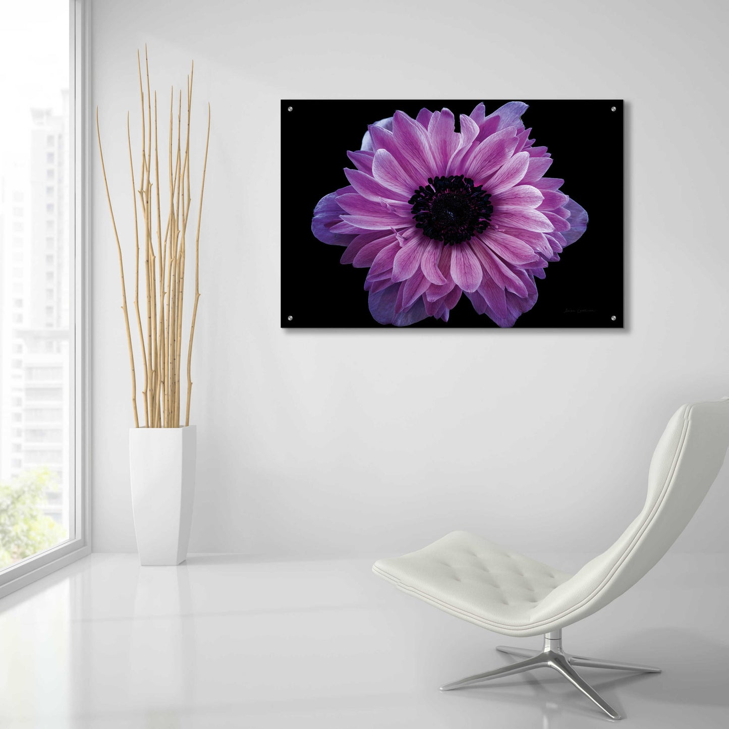 Epic Art 'Purple Anemone' by Elise Catterall, Acrylic Glass Wall Art,36x24