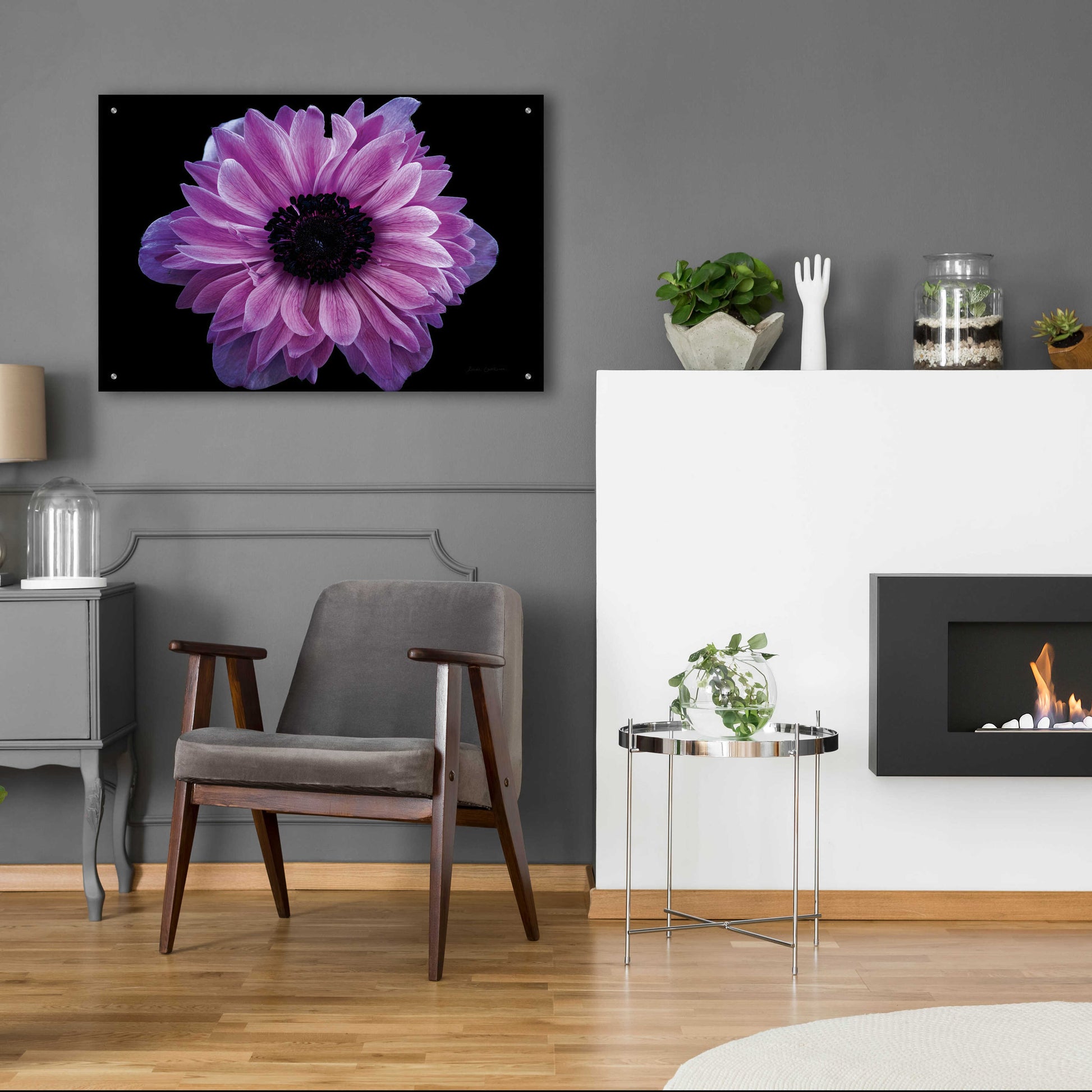 Epic Art 'Purple Anemone' by Elise Catterall, Acrylic Glass Wall Art,36x24