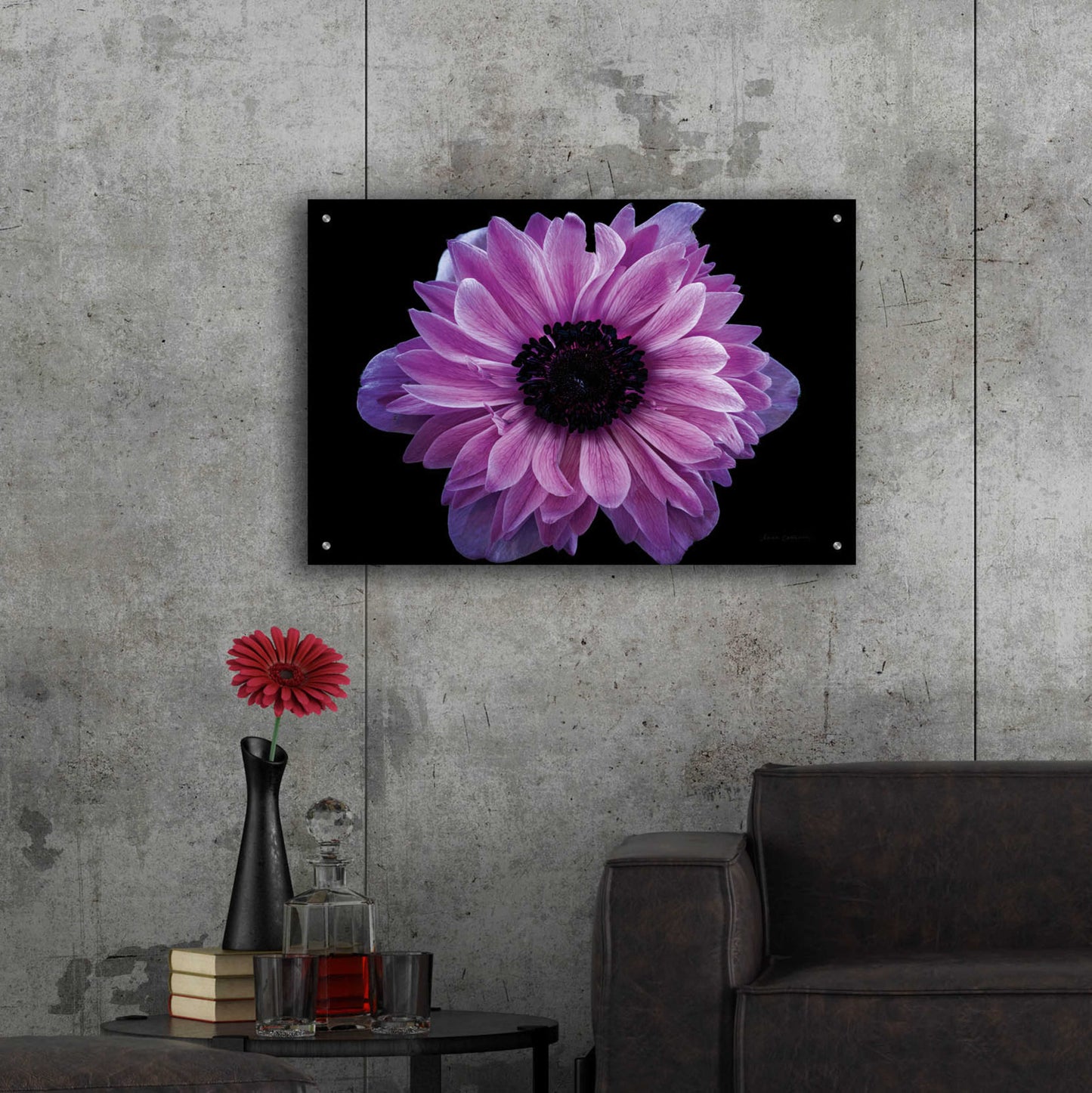 Epic Art 'Purple Anemone' by Elise Catterall, Acrylic Glass Wall Art,36x24